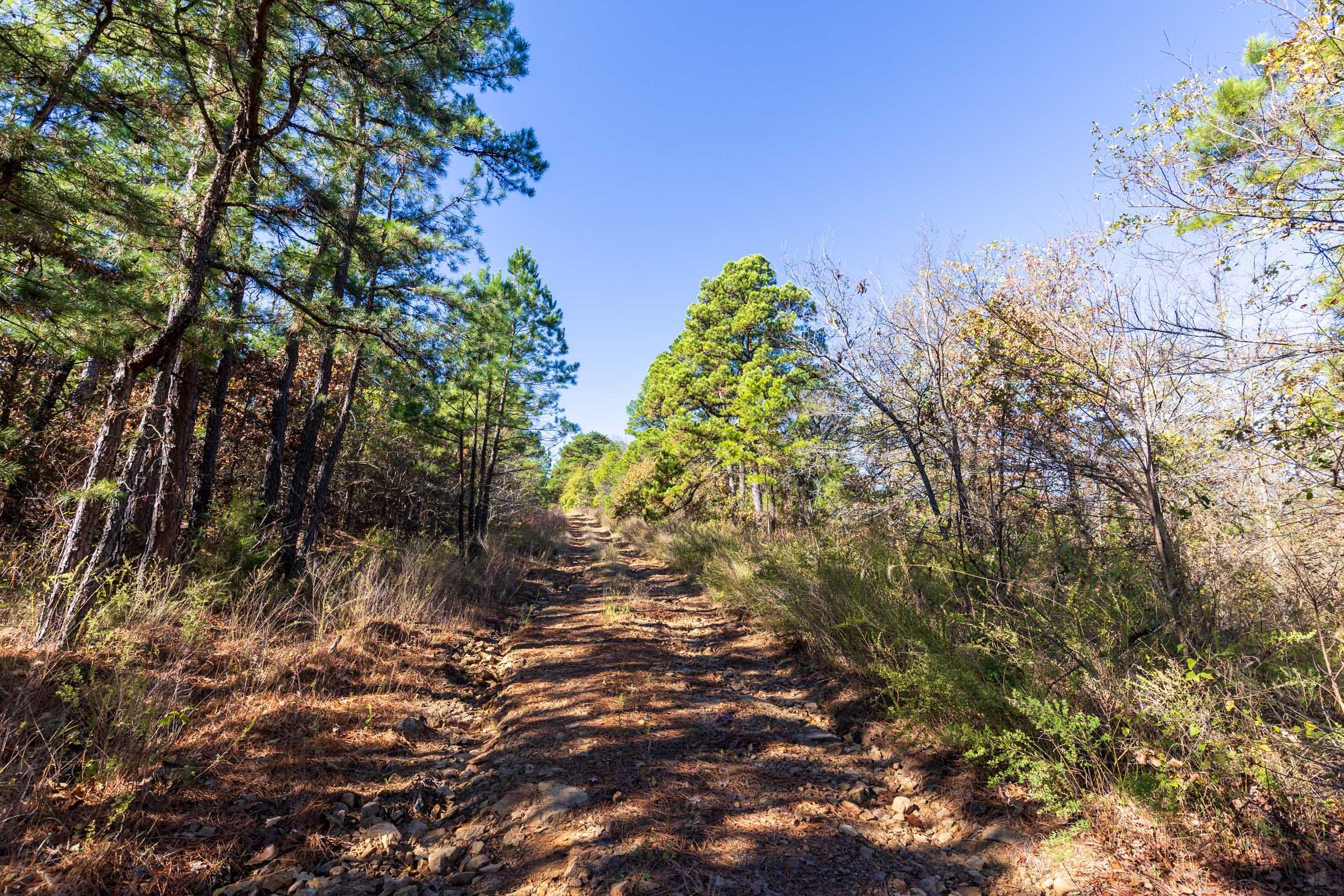 Stone Bridge Reserve Tract 18 photo 6