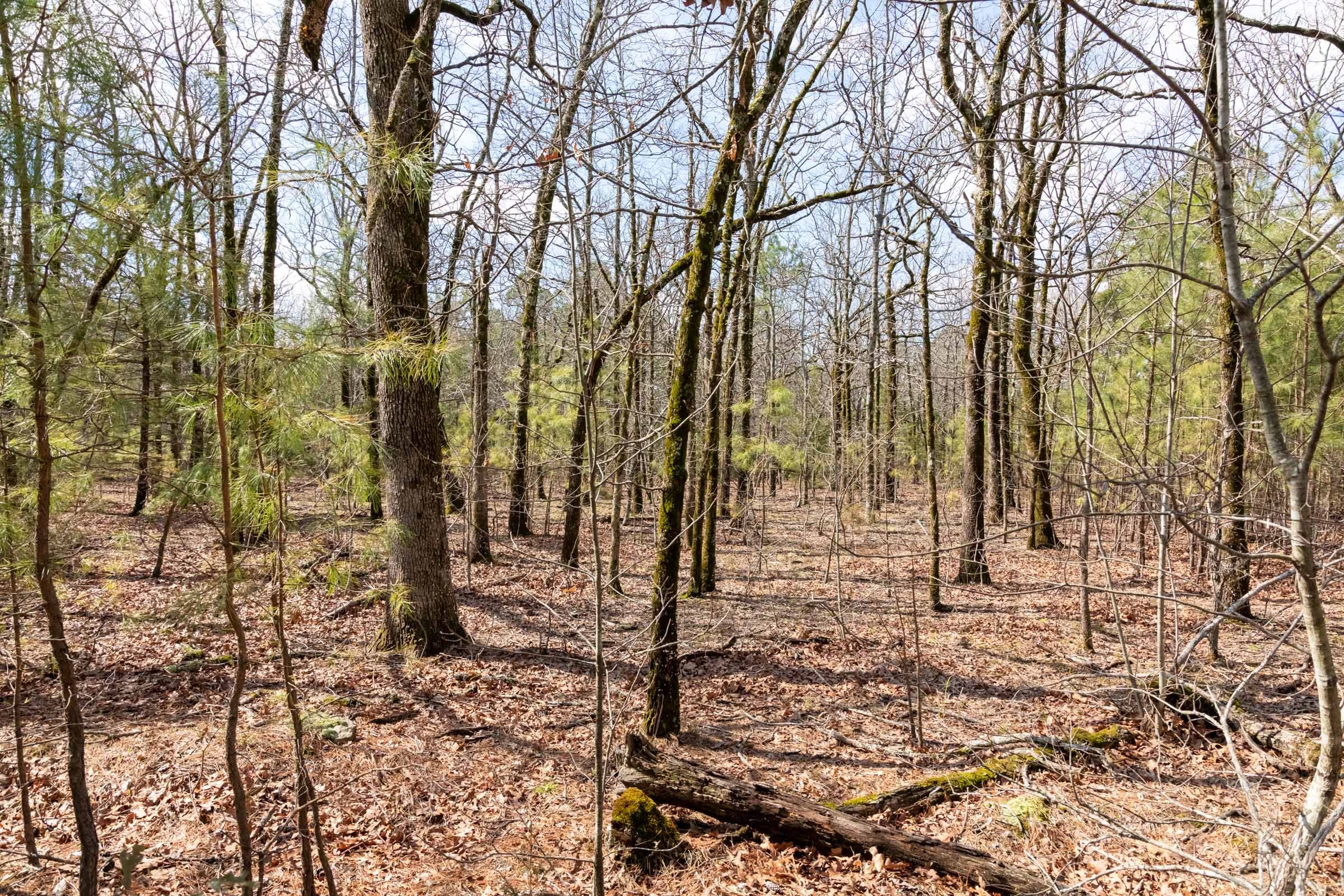 Stone Bridge Phase III Tract 186 photo 1