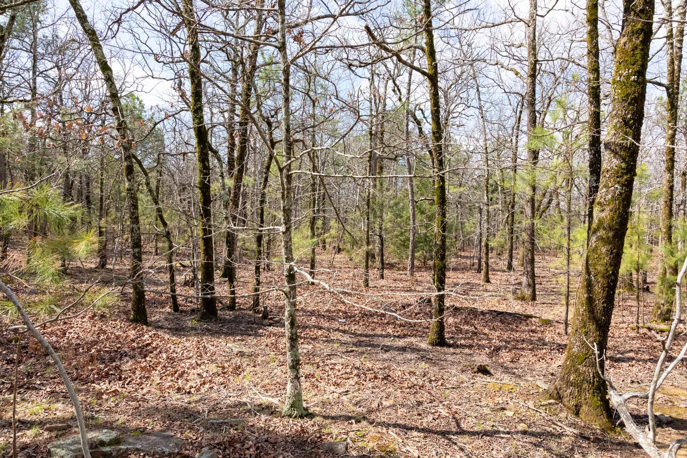 Stone Bridge Phase III Tract 186 photo 2