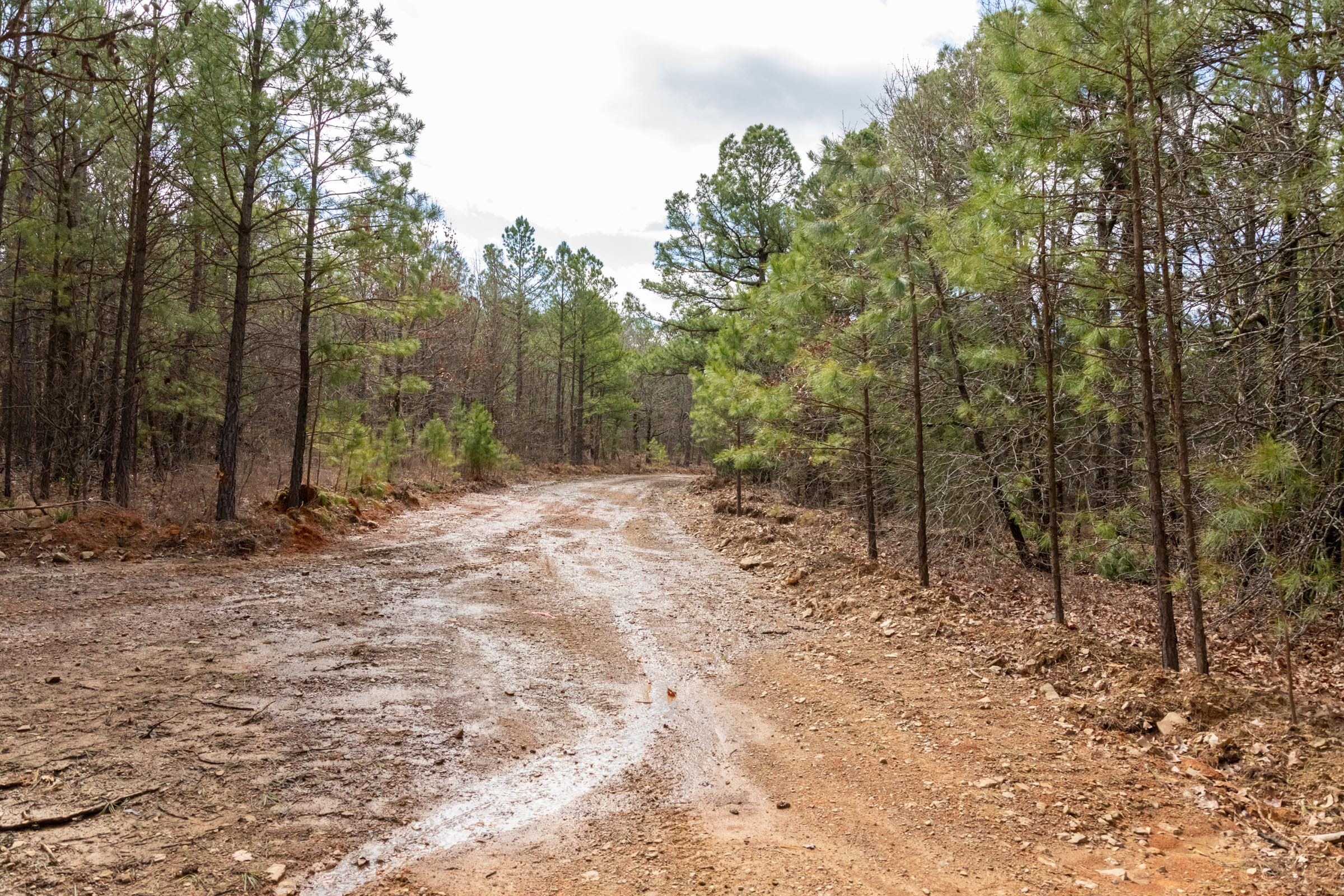 Stone Bridge Phase III Tract 186 photo 8