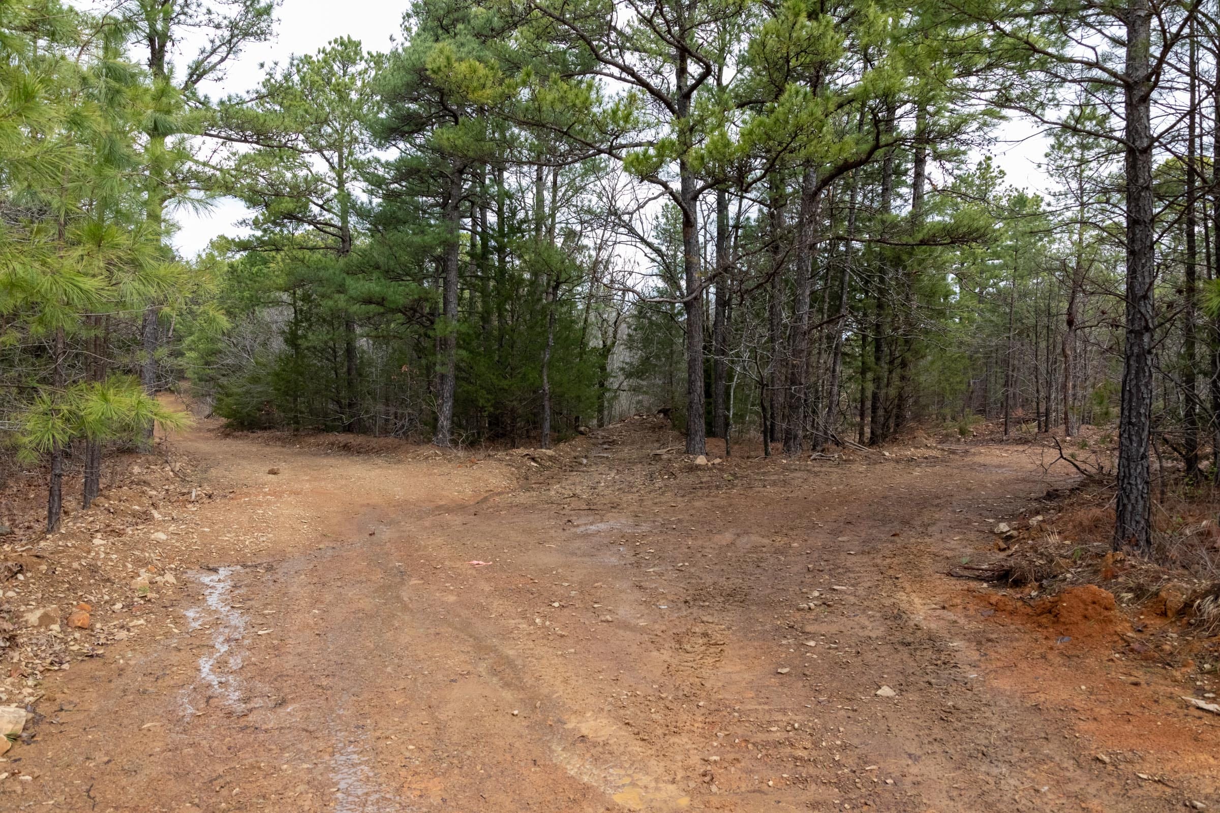 Stone Bridge Phase III Tract 186 photo 9