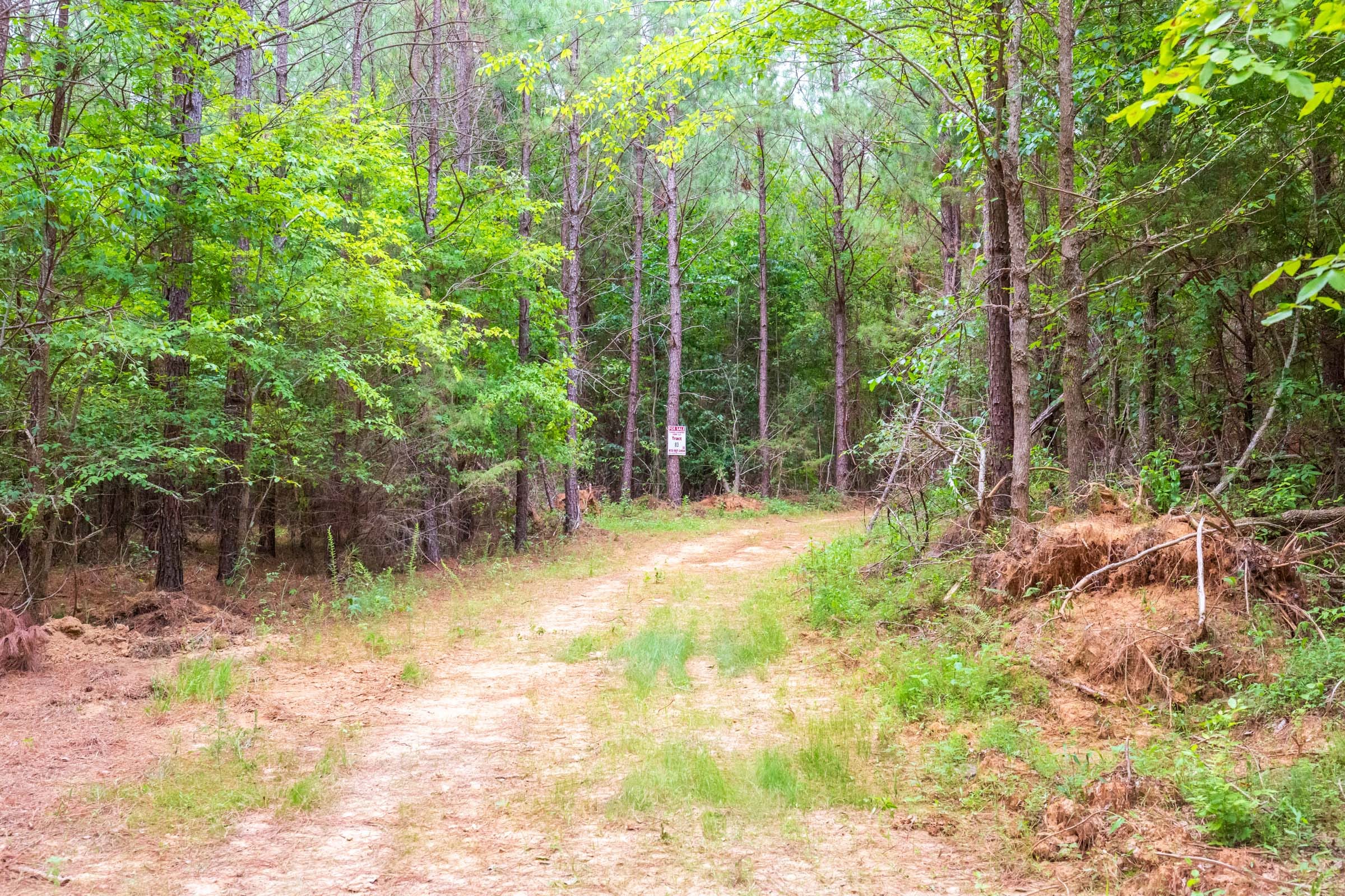 Whiskey Ridge Tract 76 photo 2