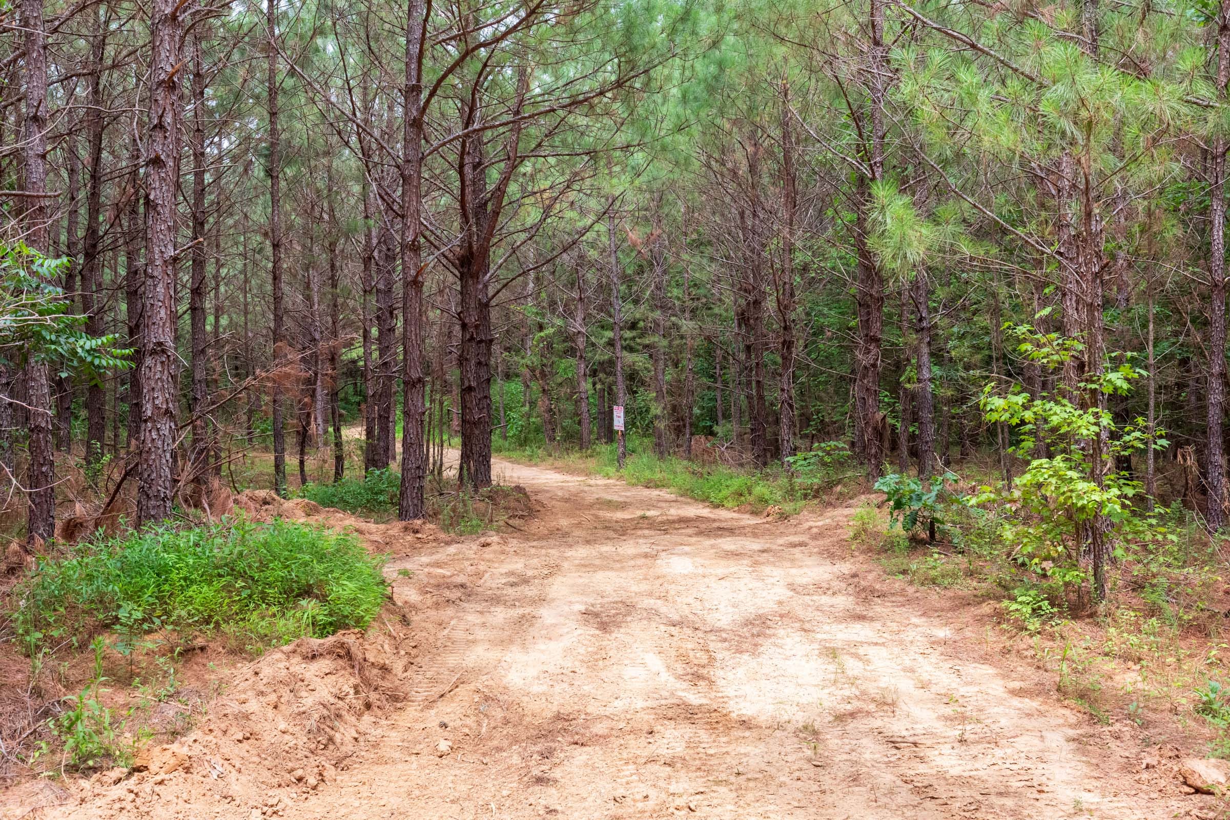 Whiskey Ridge Tract 76 photo 18