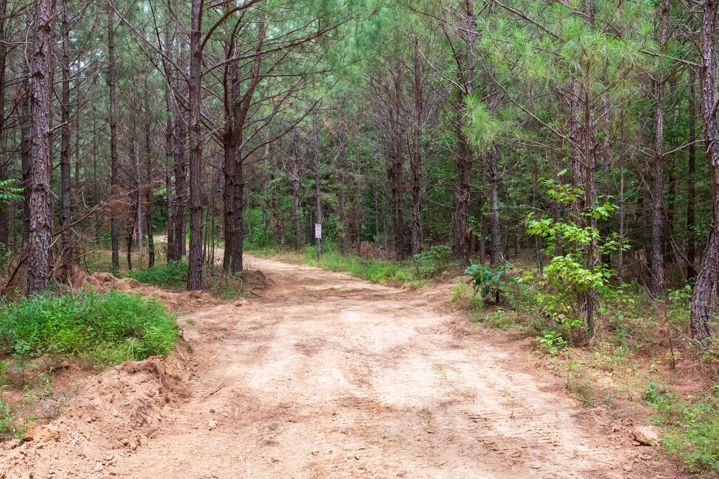 Whiskey Ridge Tract 76 photo 21