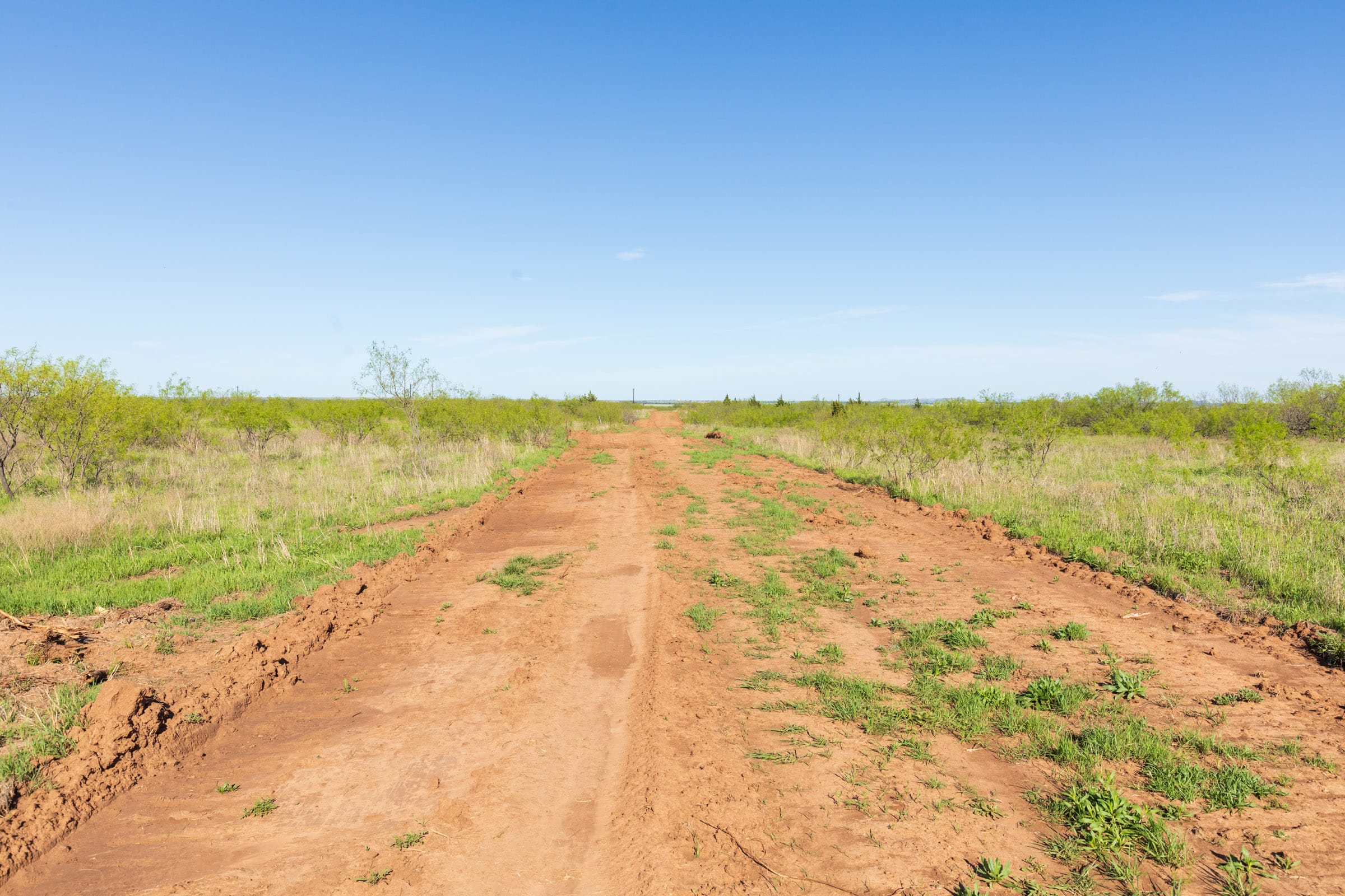 Hackberry Fields Tract 12 photo 2