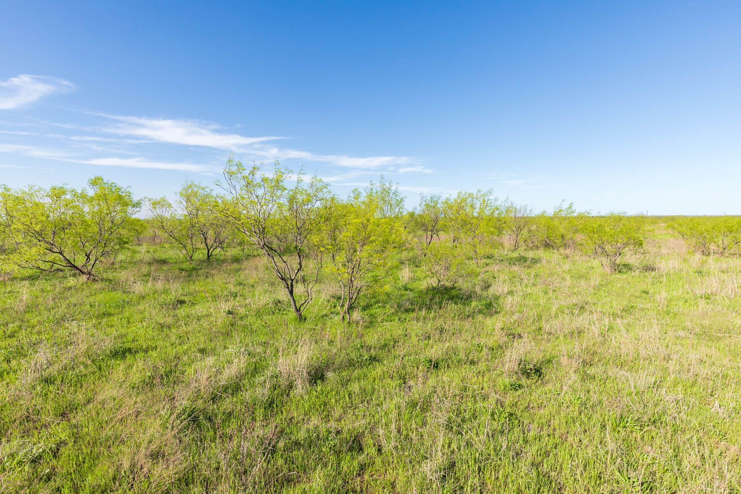 Hackberry Fields Tract 12 photo 4