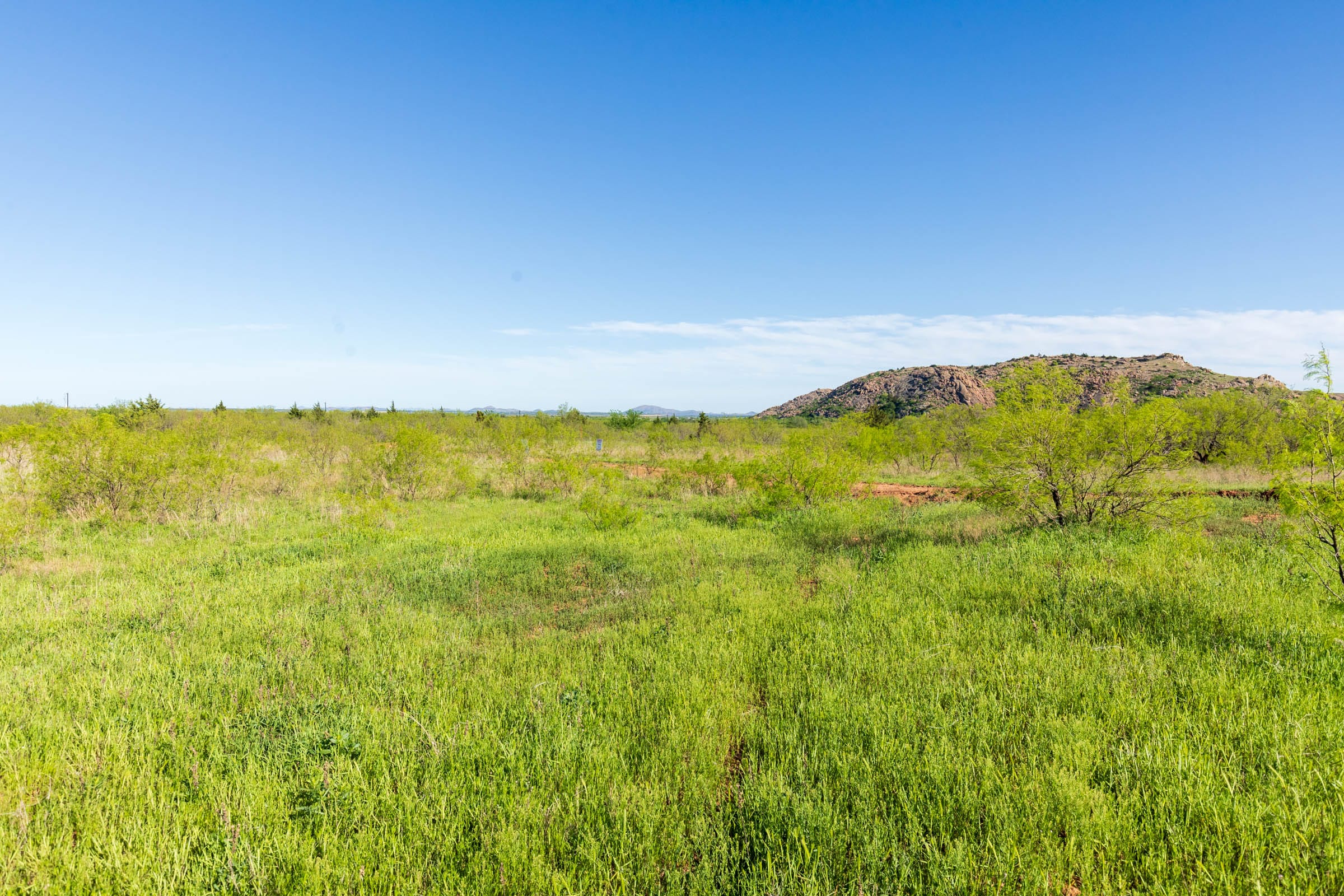 Hackberry Fields Tract 12 photo 7