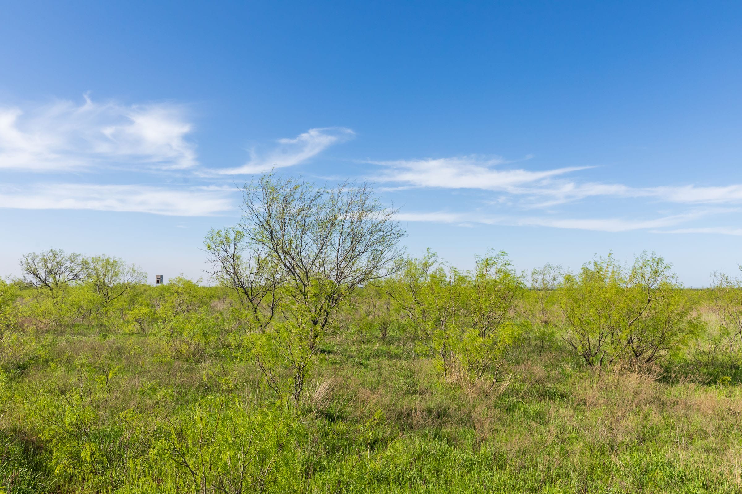 Hackberry Fields Tract 12 photo 8