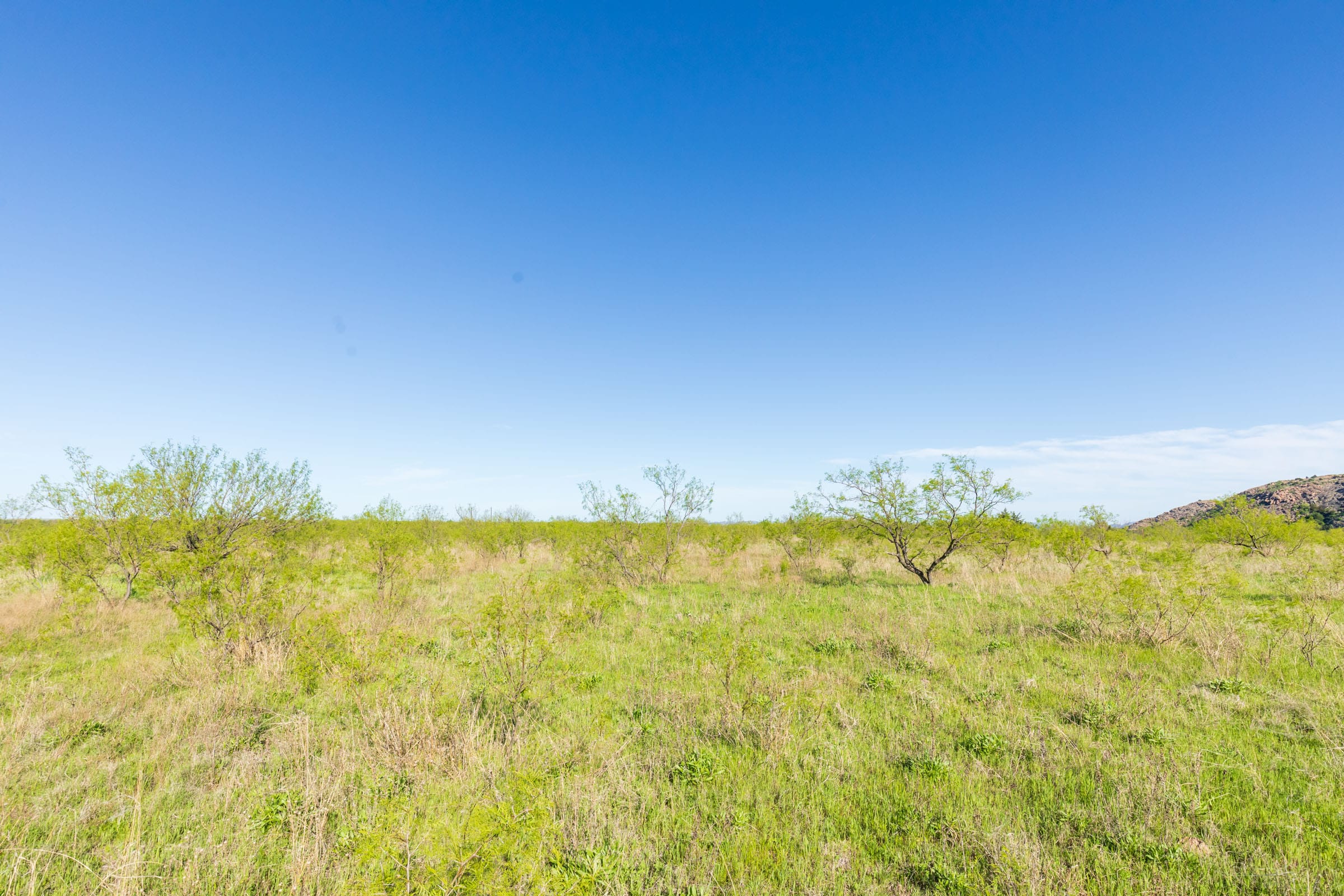 Hackberry Fields Tract 12 photo 9