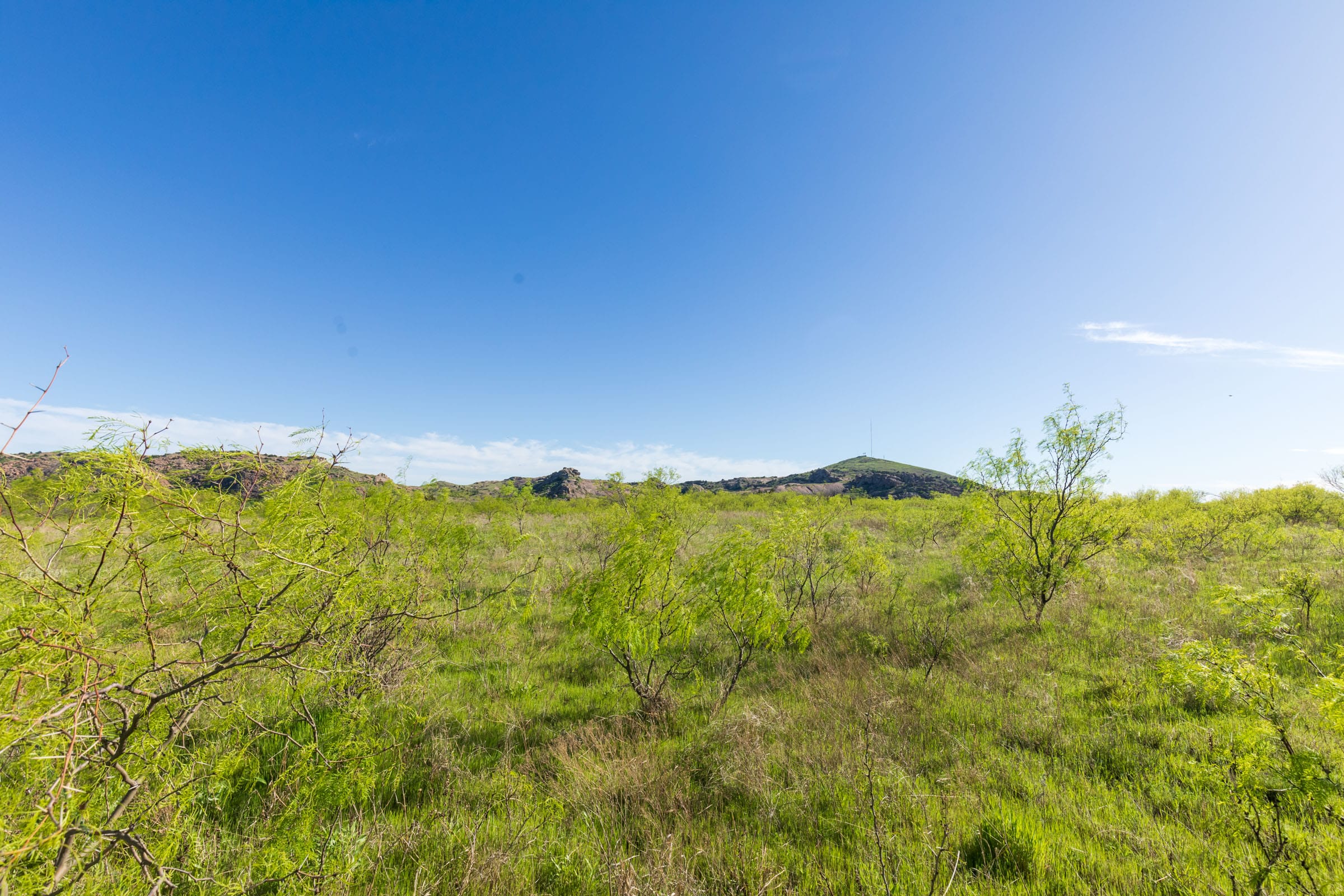 Hackberry Fields Tract 12 photo 14