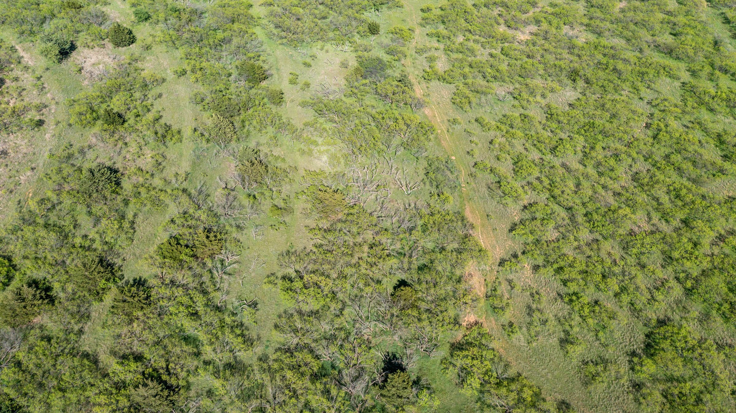Hackberry Fields Tract 12 photo 6