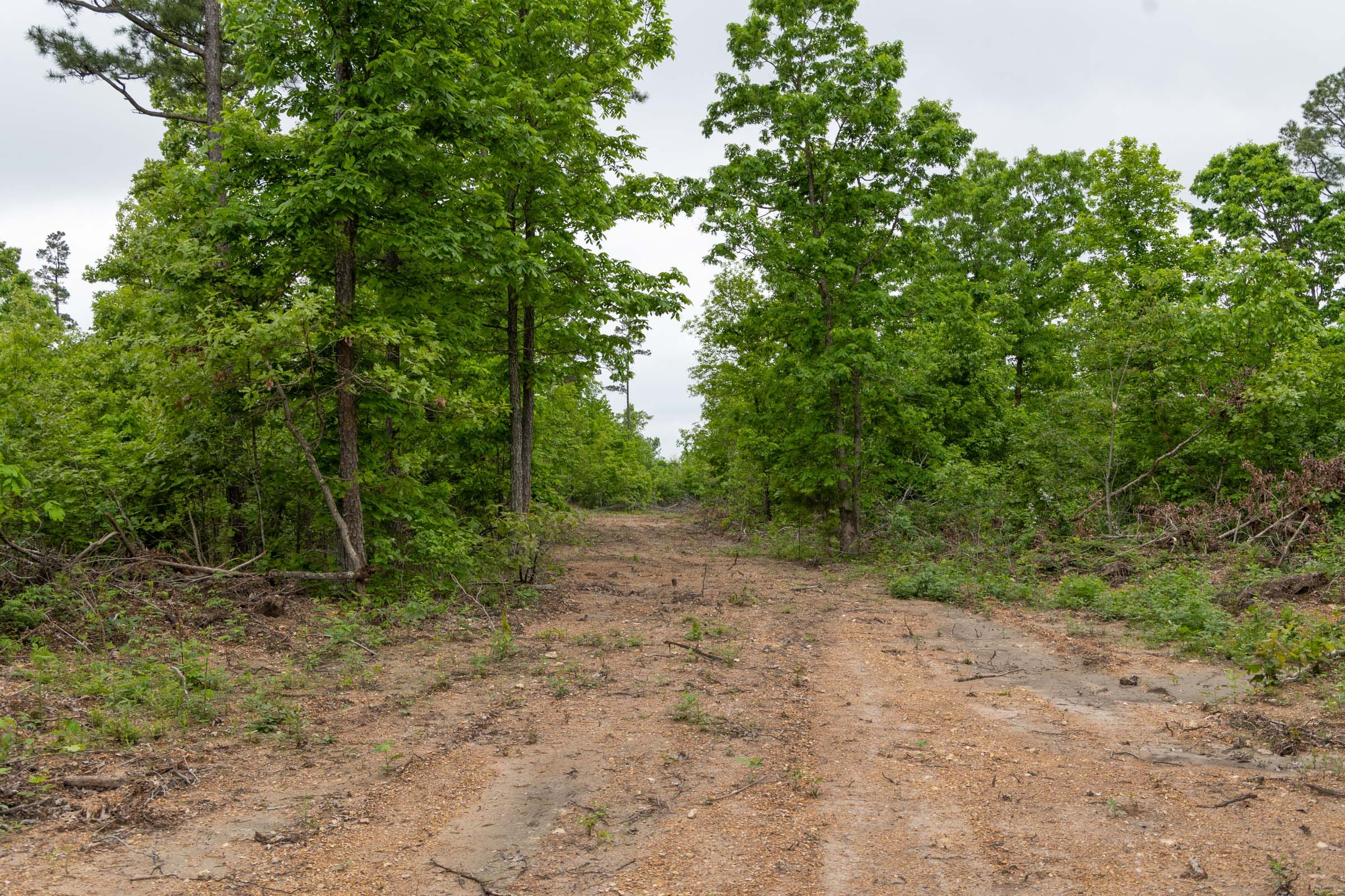 Sleepy Hollow Phase II Tract 90 photo 2