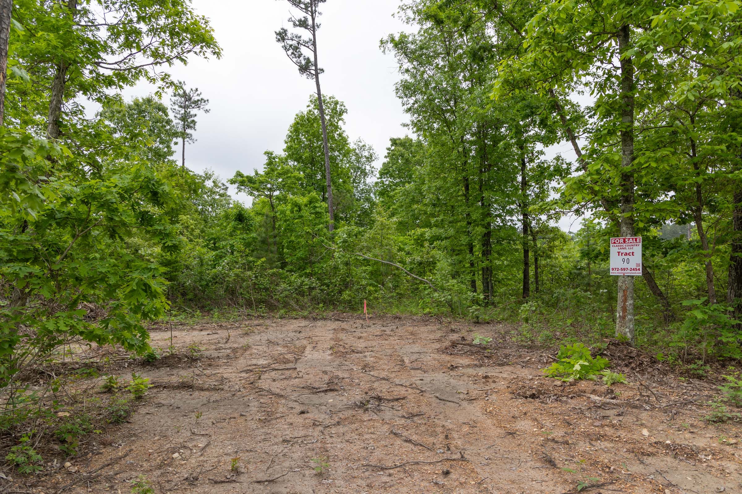 Sleepy Hollow Phase II Tract 90 photo 3