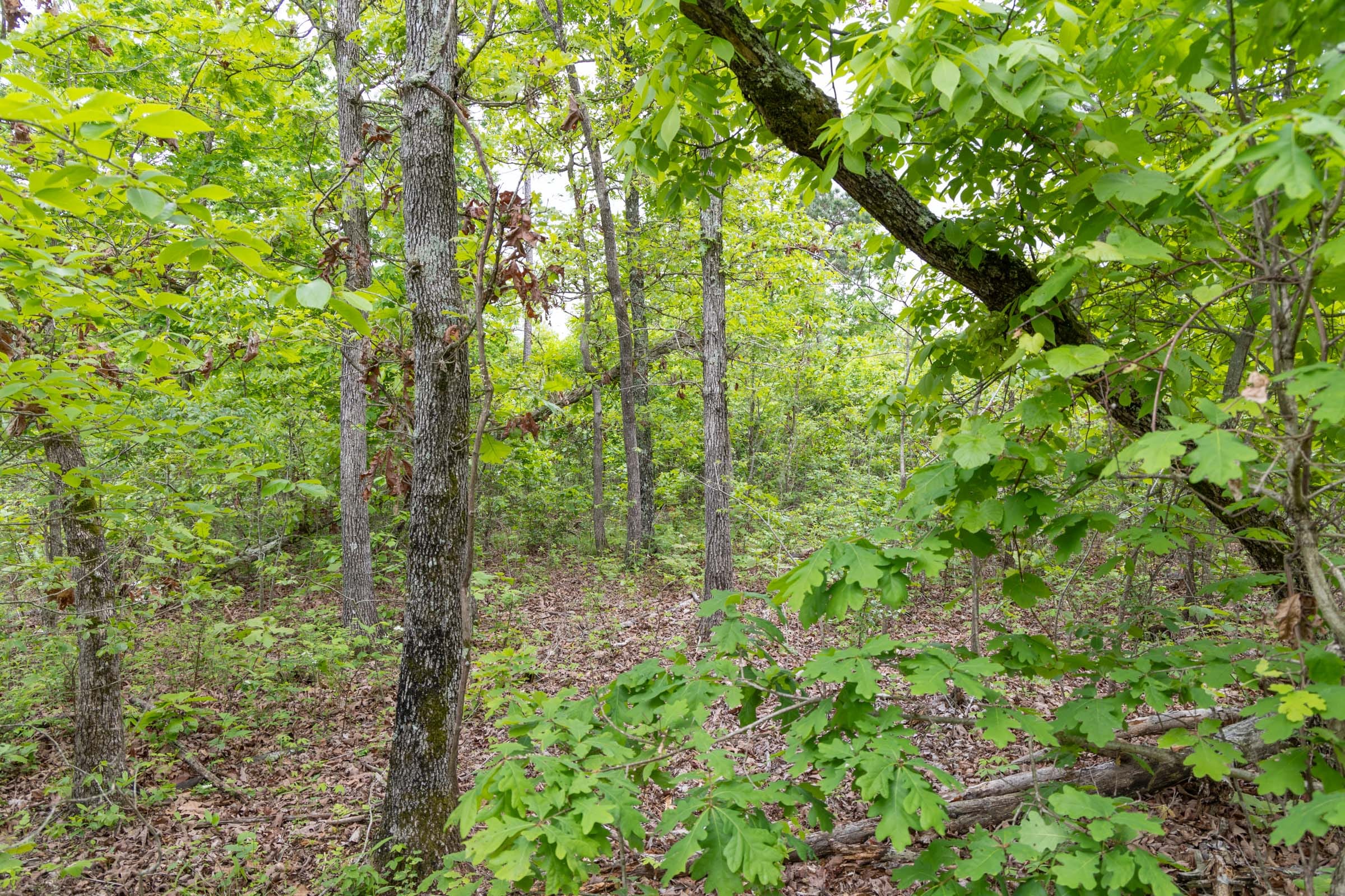 Sleepy Hollow Phase II Tract 90 photo 1