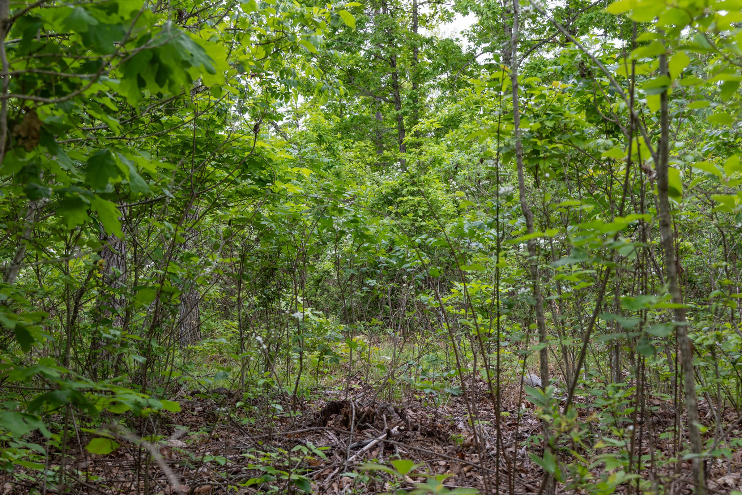 Sleepy Hollow Phase II Tract 90 photo 8