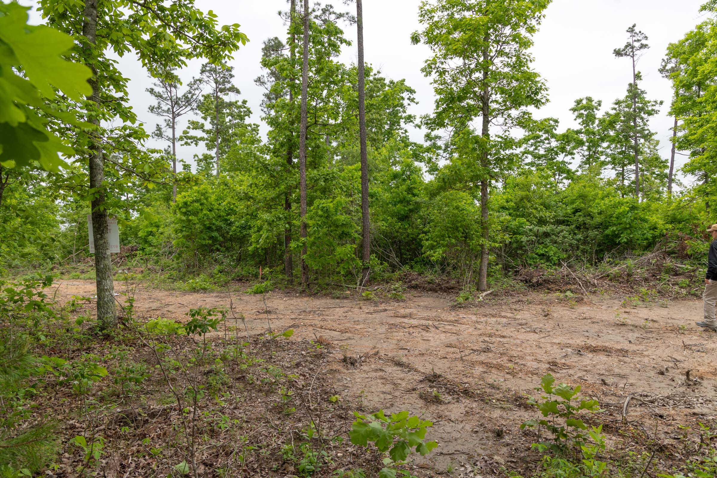 Sleepy Hollow Phase II Tract 90 photo 7