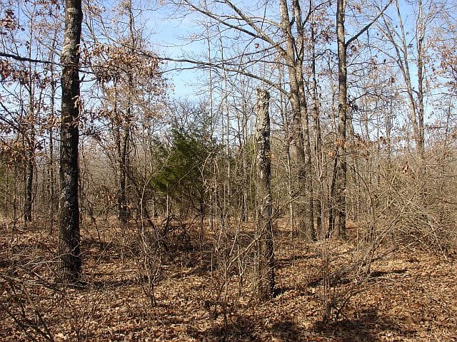 Tranquility Farms Tract 3 photo 4
