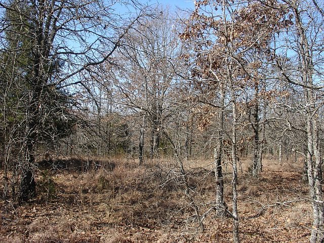 Tranquility Farms Tract 3 photo 6