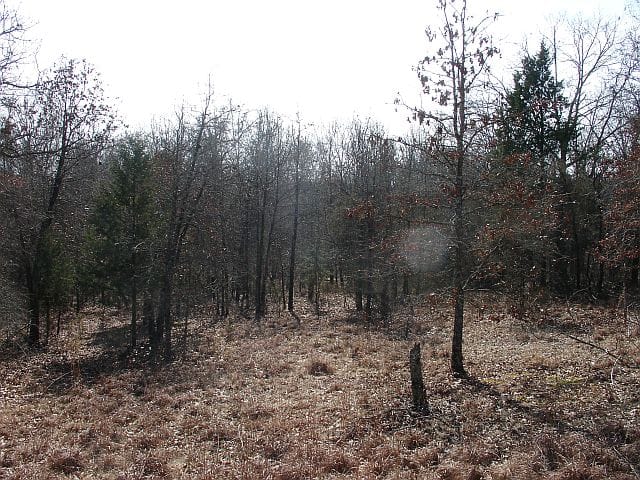 Tranquility Farms Tract 3 photo 7