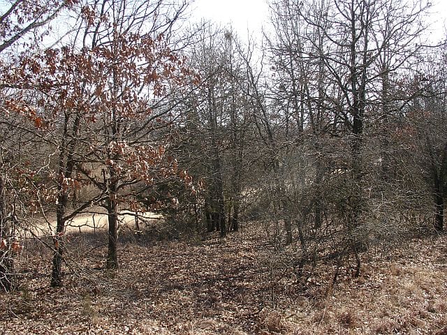 Tranquility Farms Tract 3 photo 8