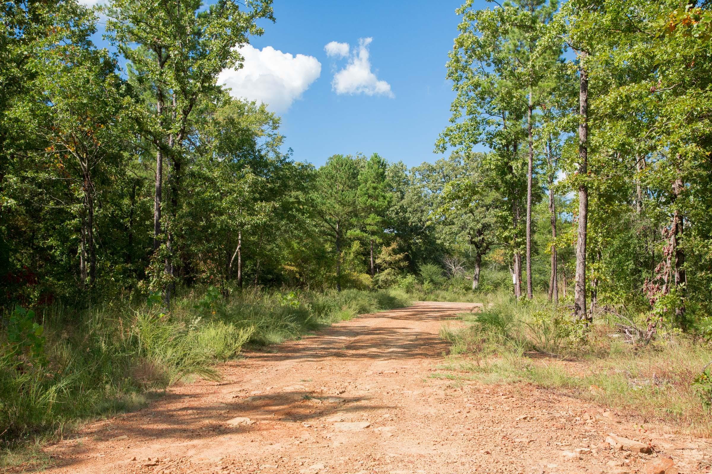 Stone Creek Phase II Tract 261 photo 4