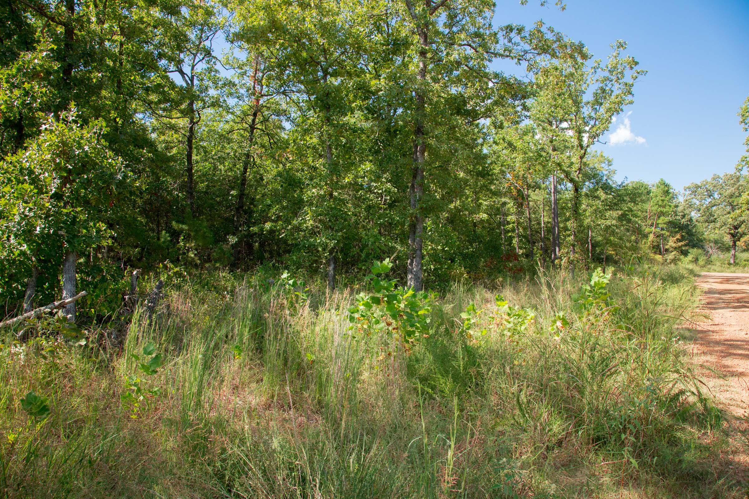 Stone Creek Phase II Tract 261 photo 5