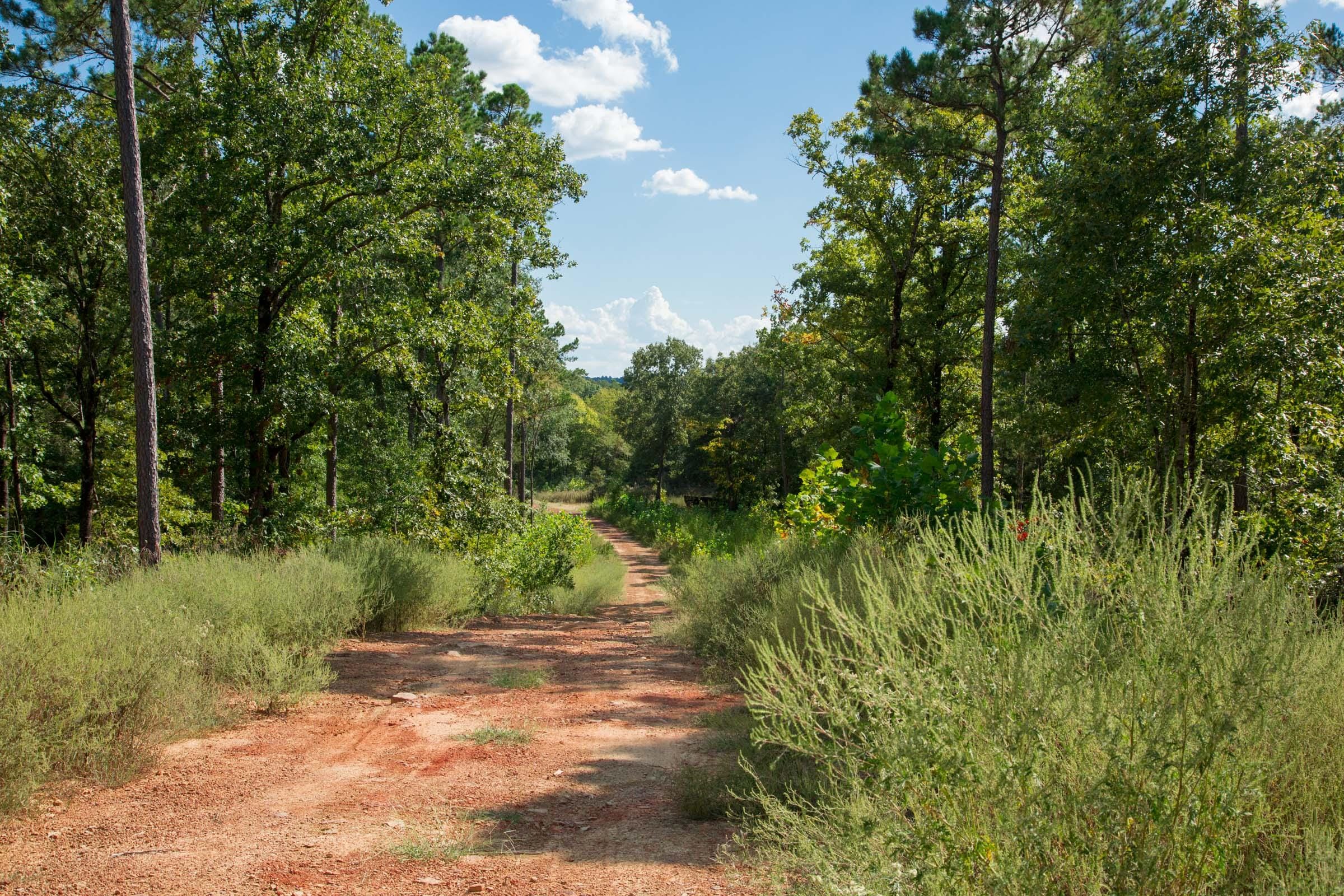 Stone Creek Phase II Tract 261 photo 6