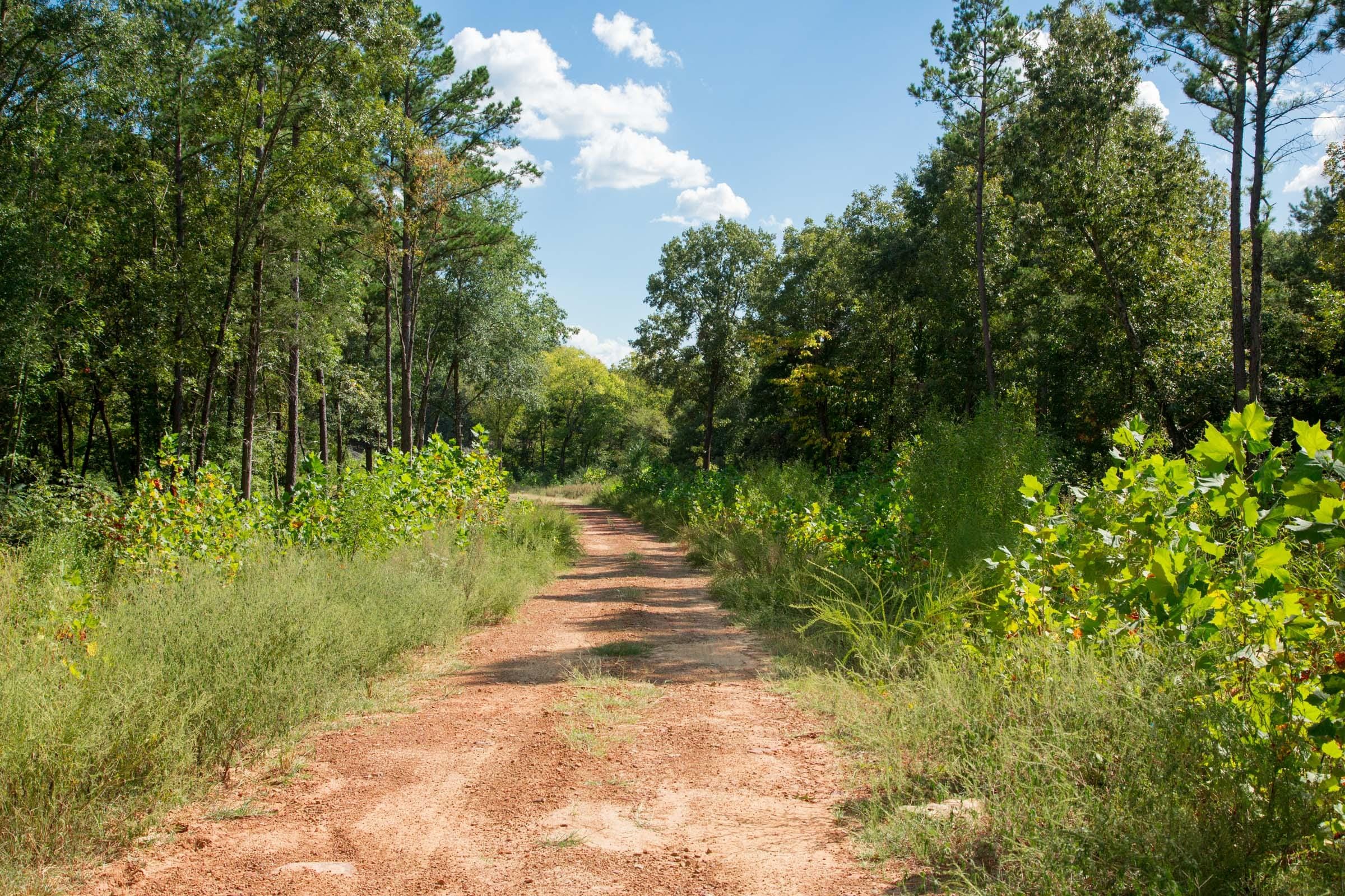 Stone Creek Phase II Tract 261 photo 7
