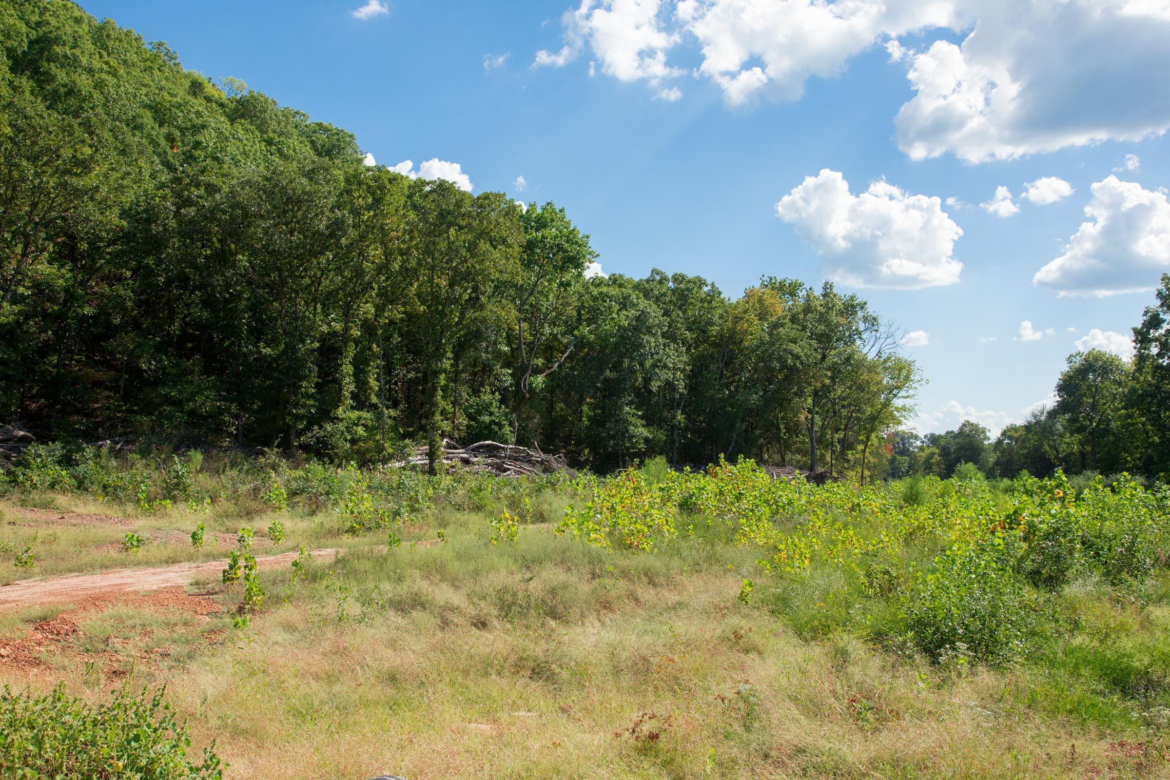 Stone Creek Phase II Tract 261 photo 8