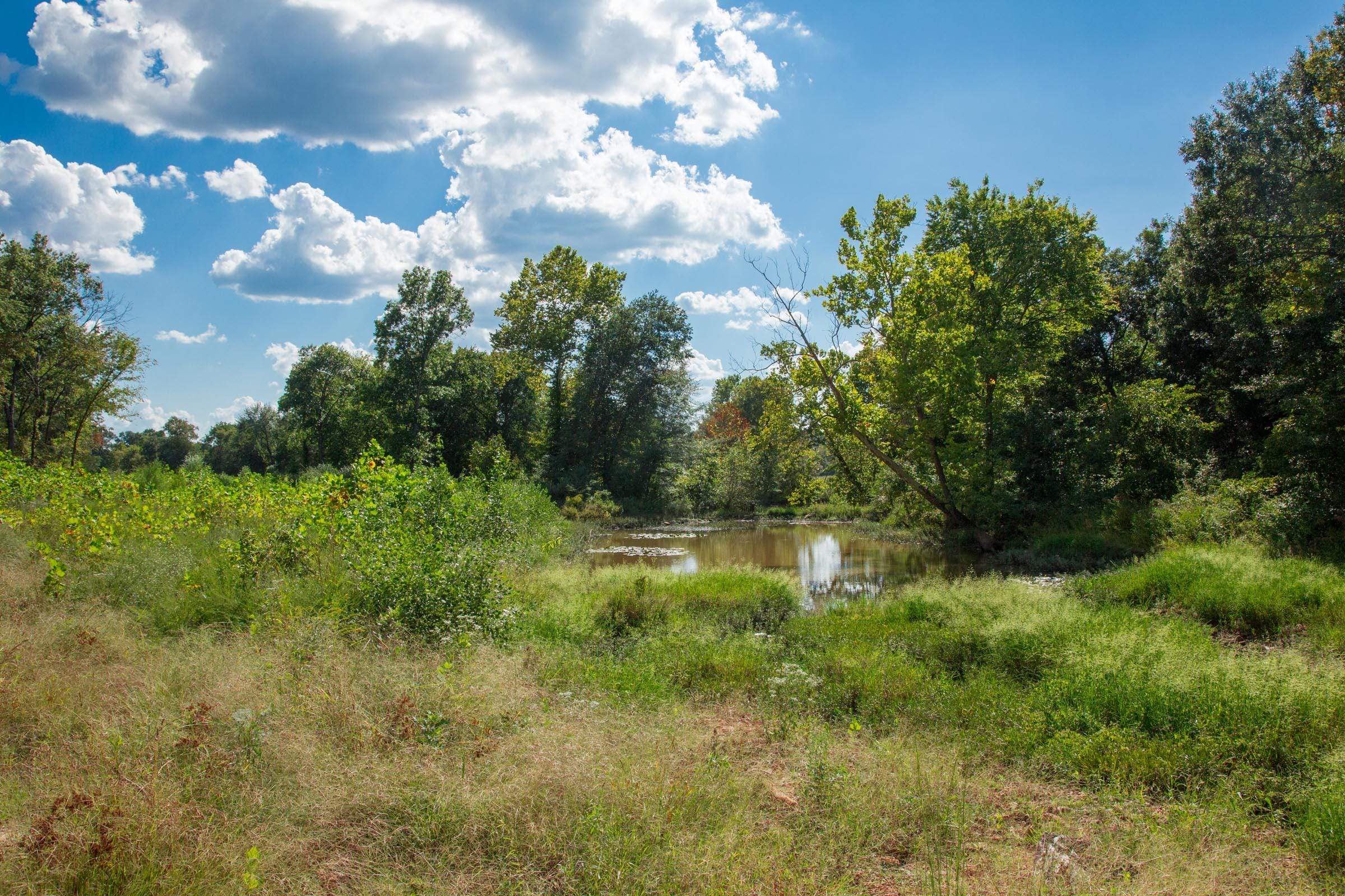 Stone Creek Phase II Tract 261 photo 11