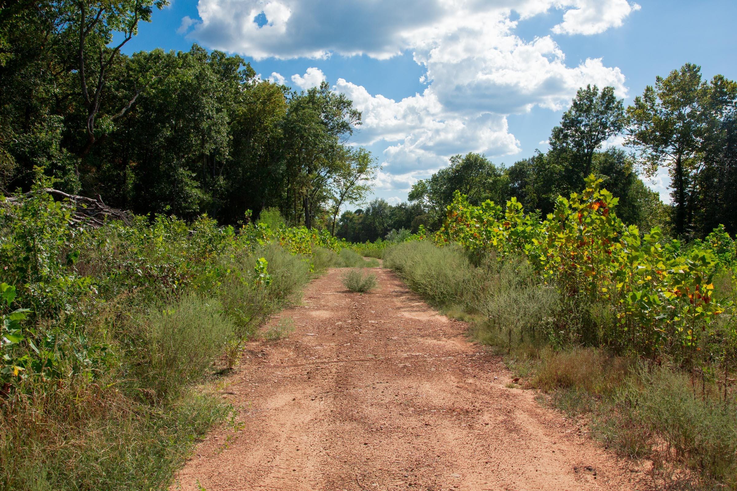 Stone Creek Phase II Tract 261 photo 12