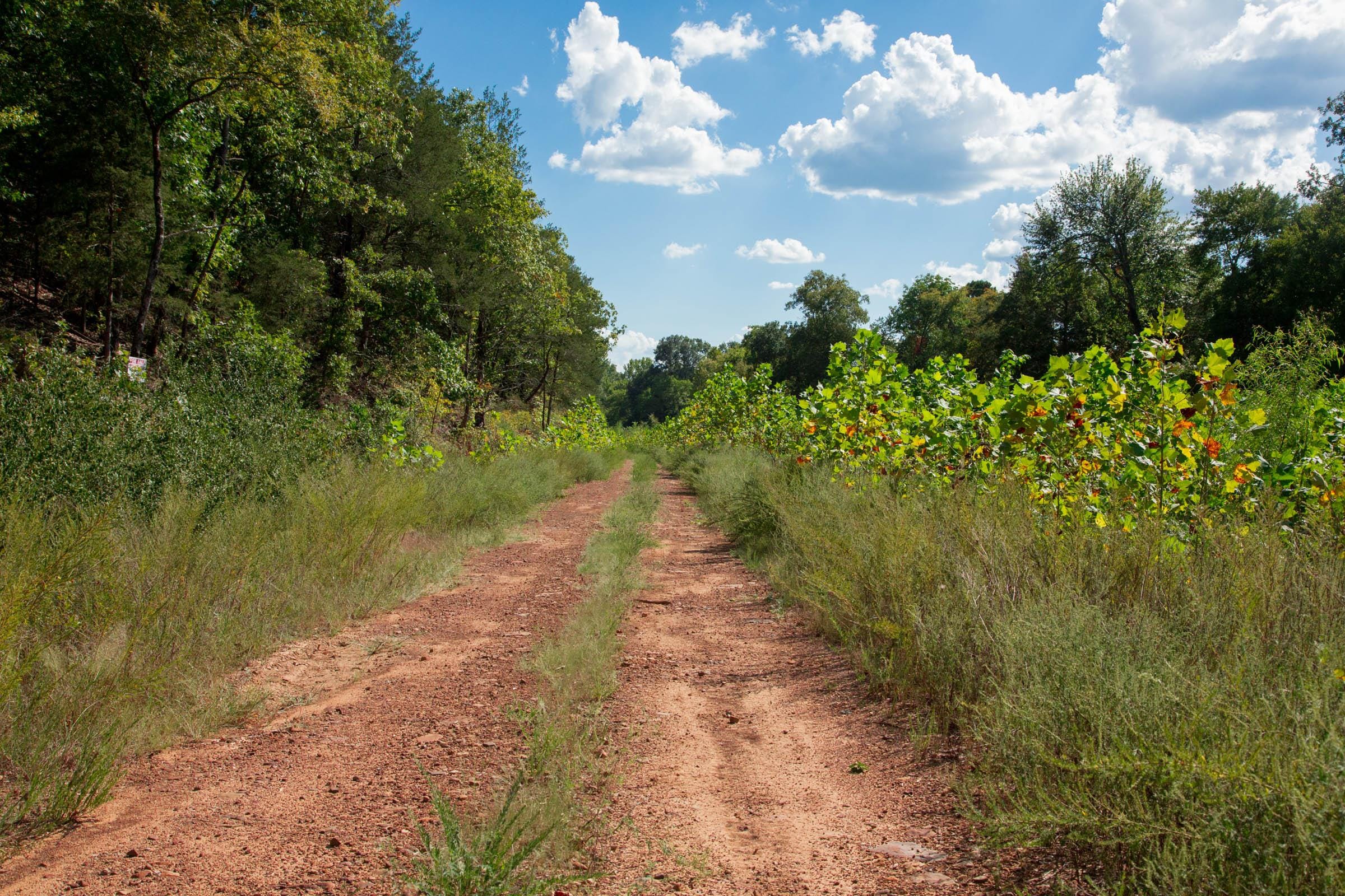 Stone Creek Phase II Tract 261 photo 2