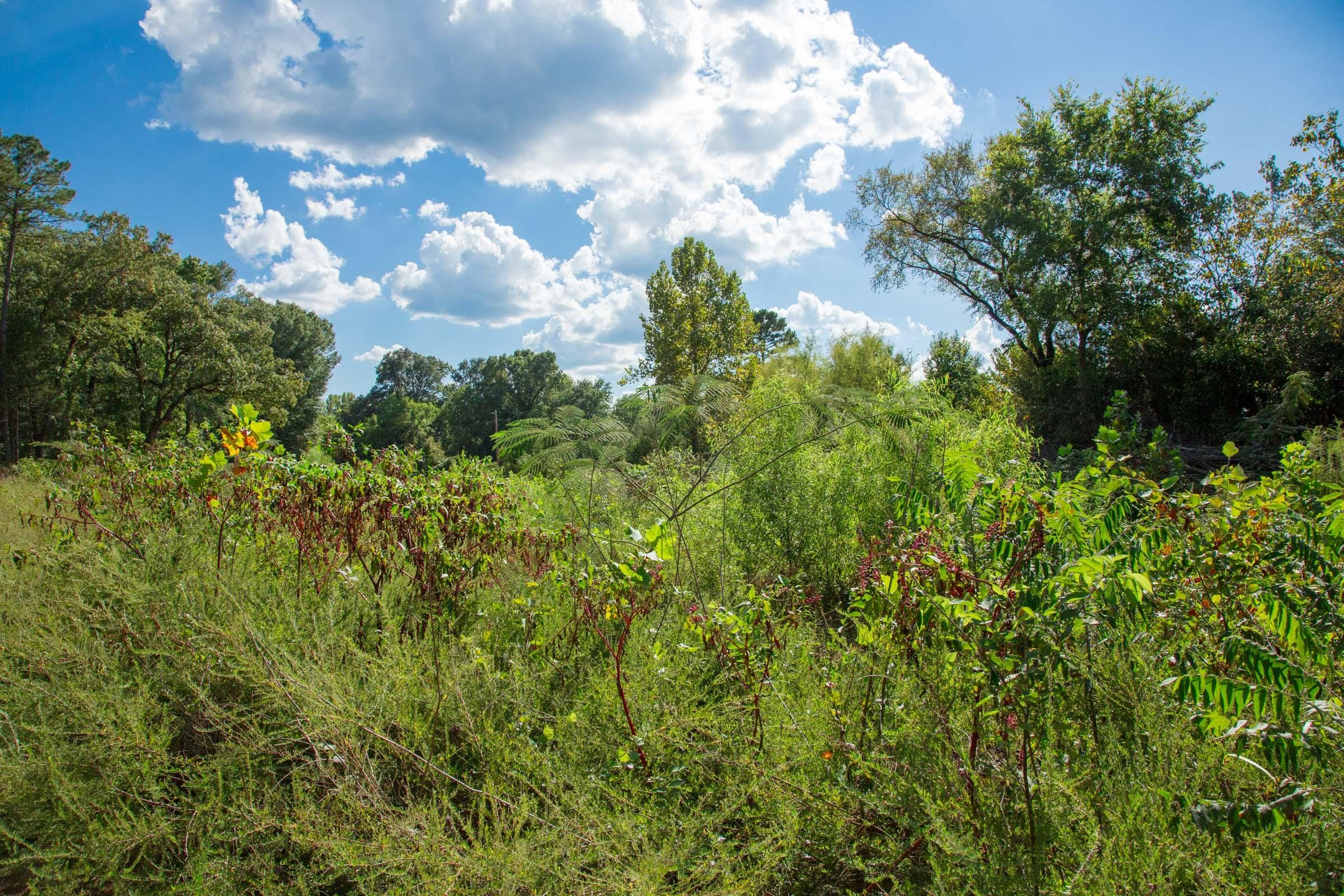 Stone Creek Phase II Tract 261 photo 14
