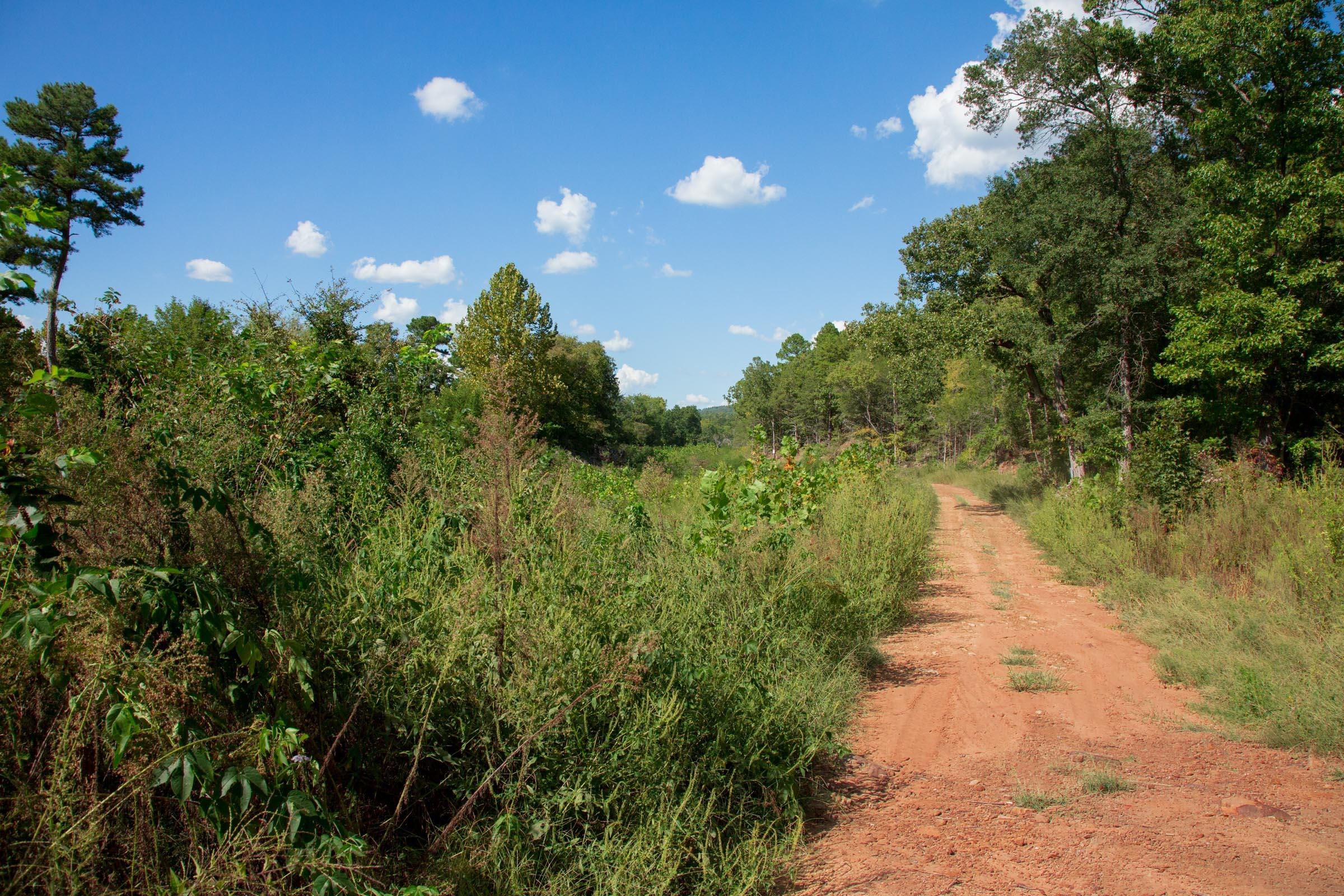 Stone Creek Phase II Tract 261 photo 15