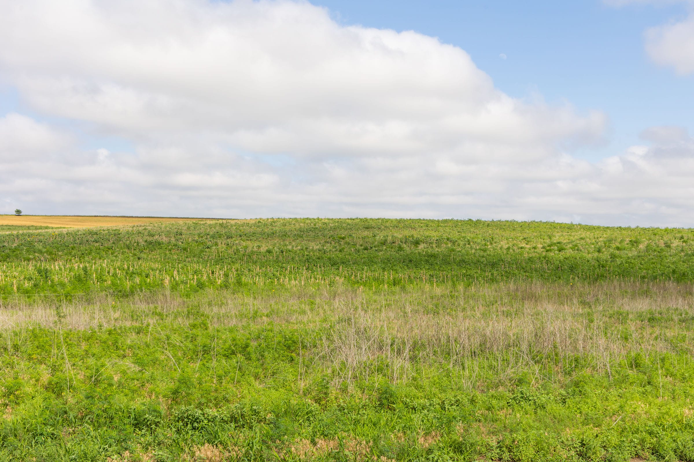 Crandall's Corner Tract 17 photo 3