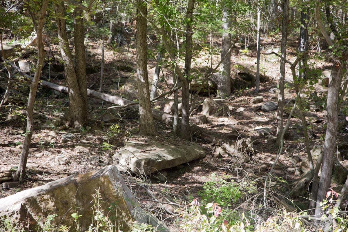 Stone Creek Phase I Tract 142 photo 7