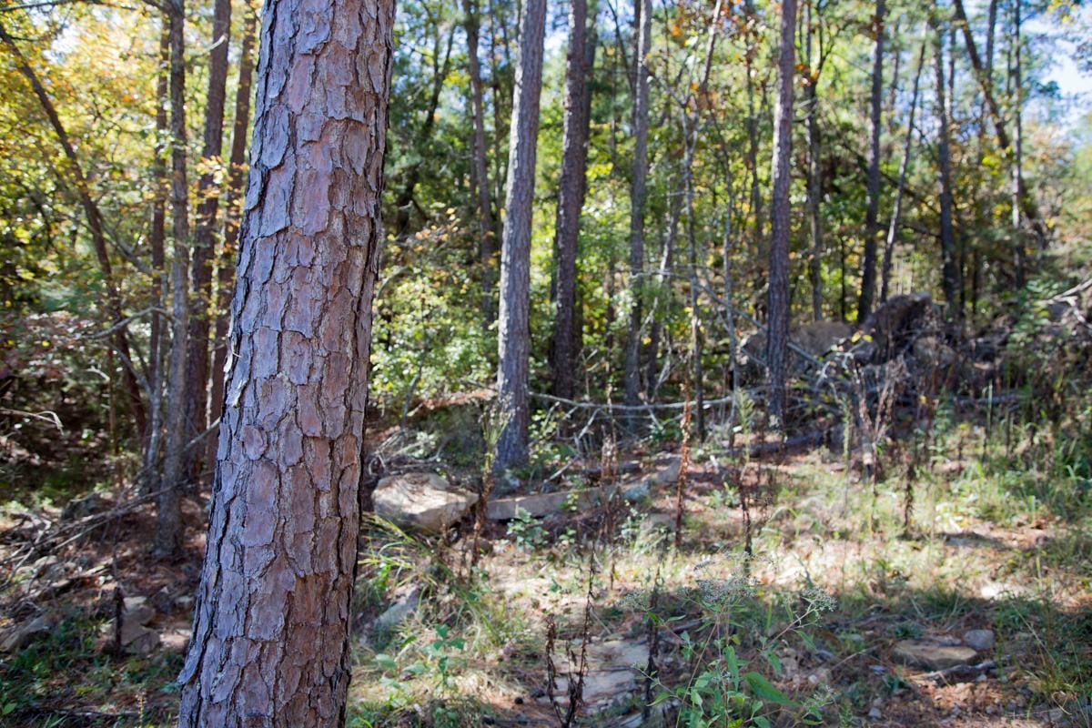 Stone Creek Phase I Tract 142 photo 13