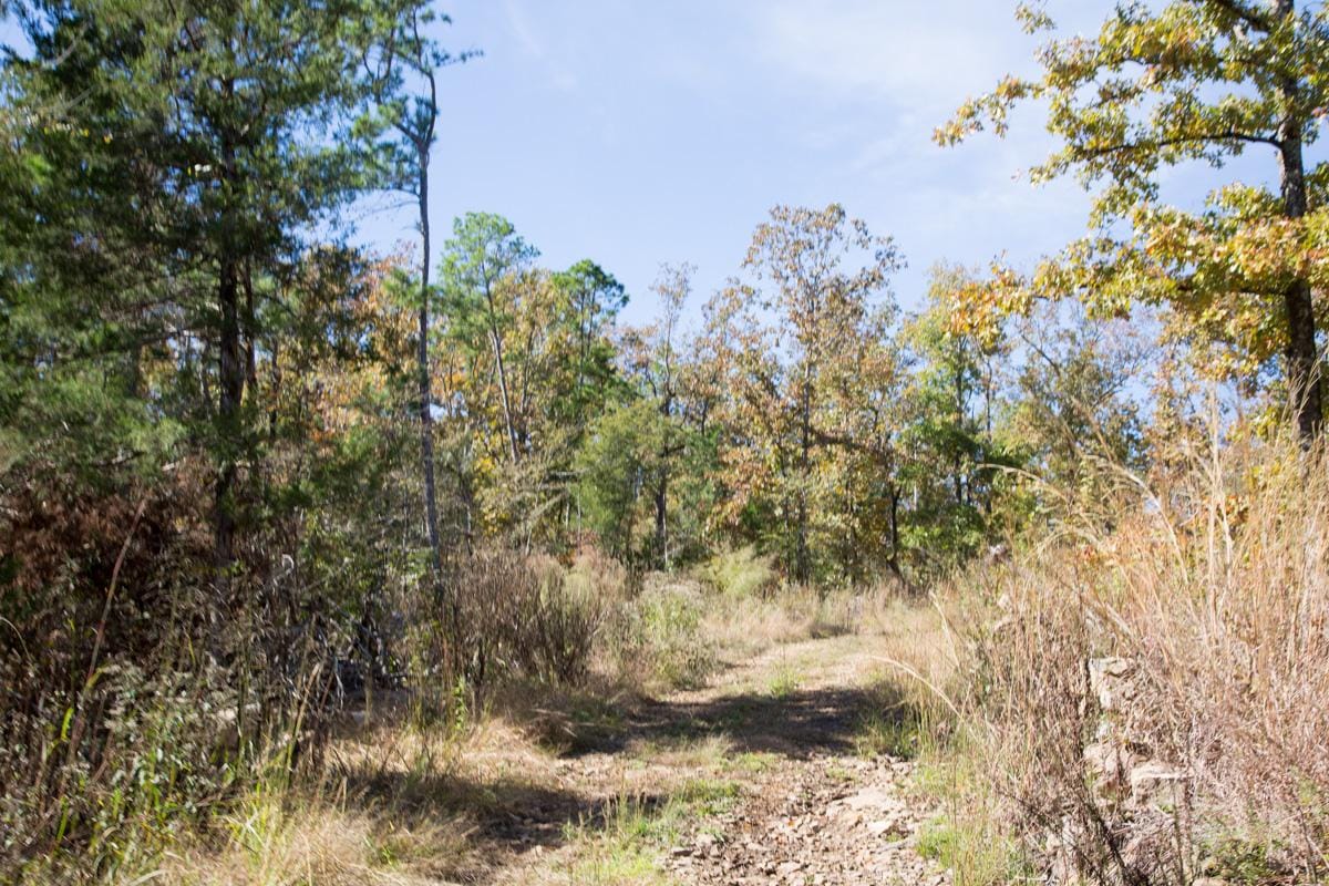 Stone Creek Phase I Tract 142 photo 14