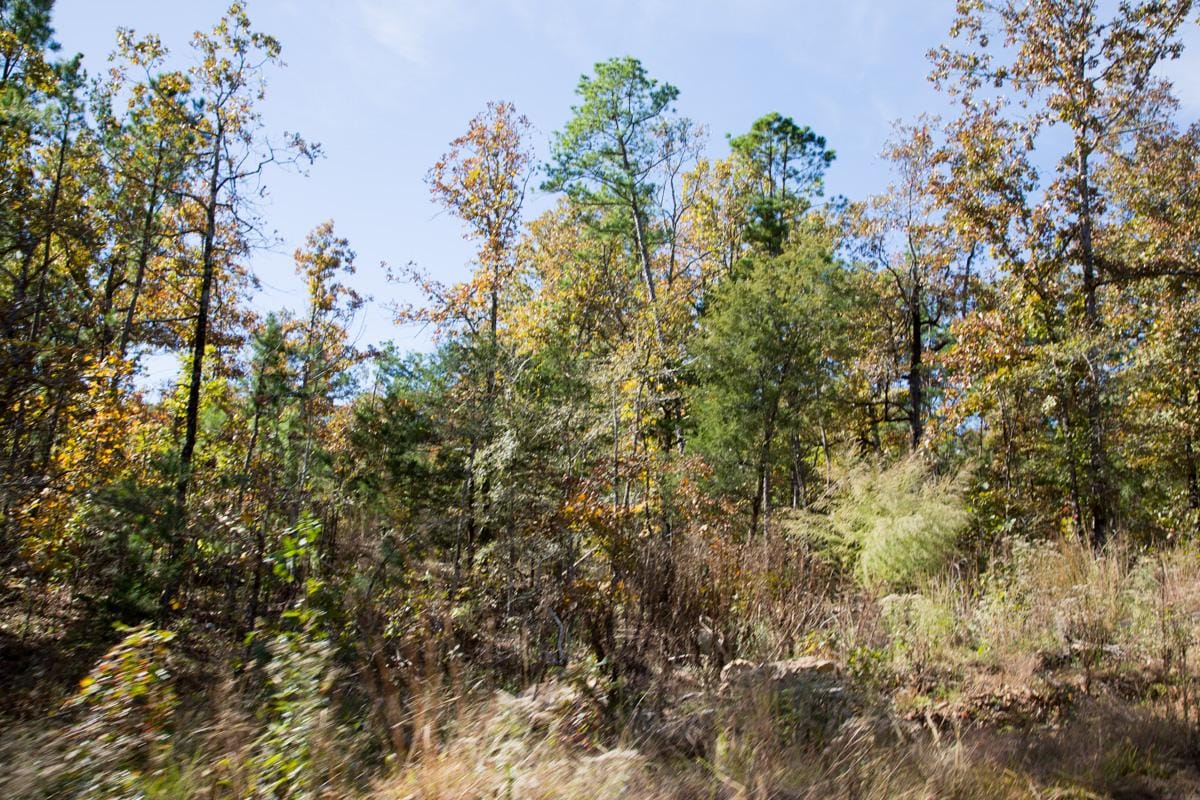 Stone Creek Phase I Tract 142 photo 15