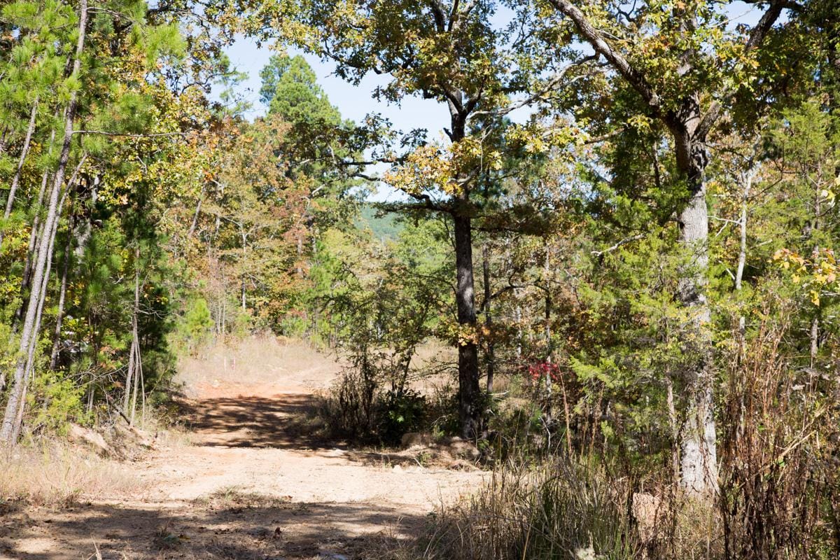 Stone Creek Phase I Tract 142 photo 16