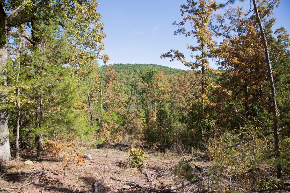 Stone Creek Phase I Tract 142 photo 17