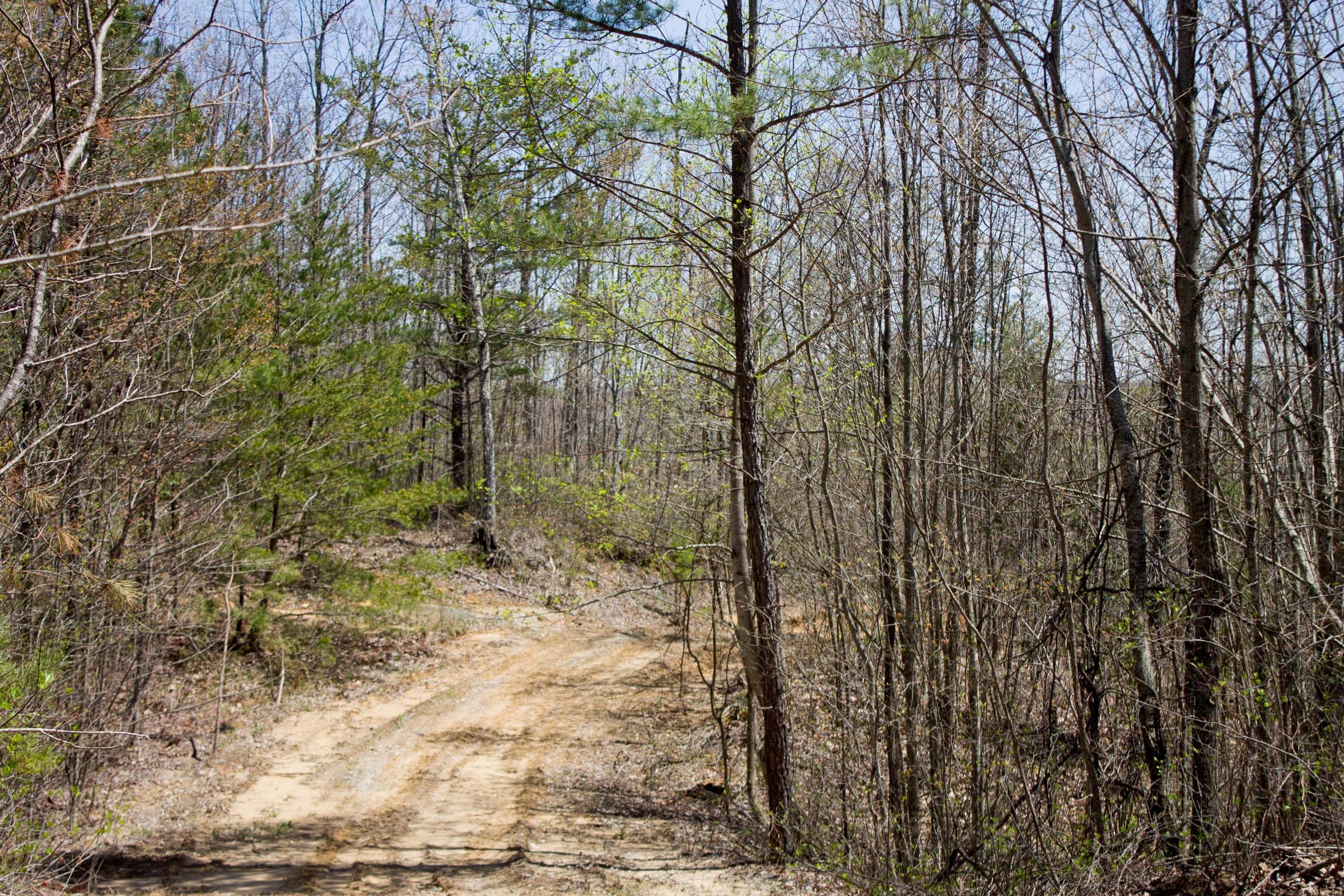Hidden Hills Tract 6 photo 4