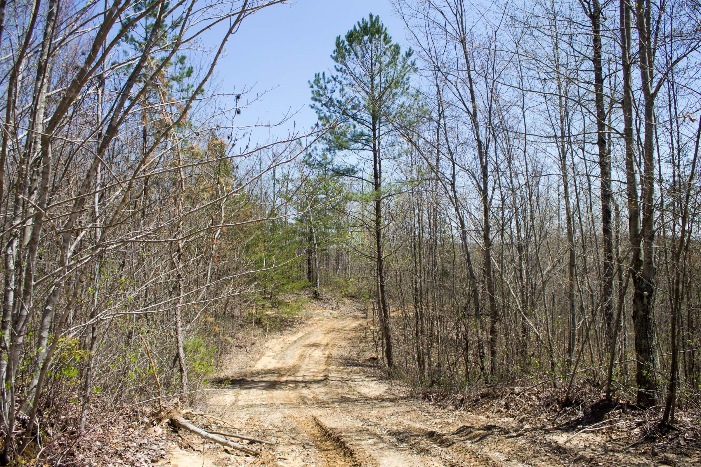 Hidden Hills Tract 6 photo 7