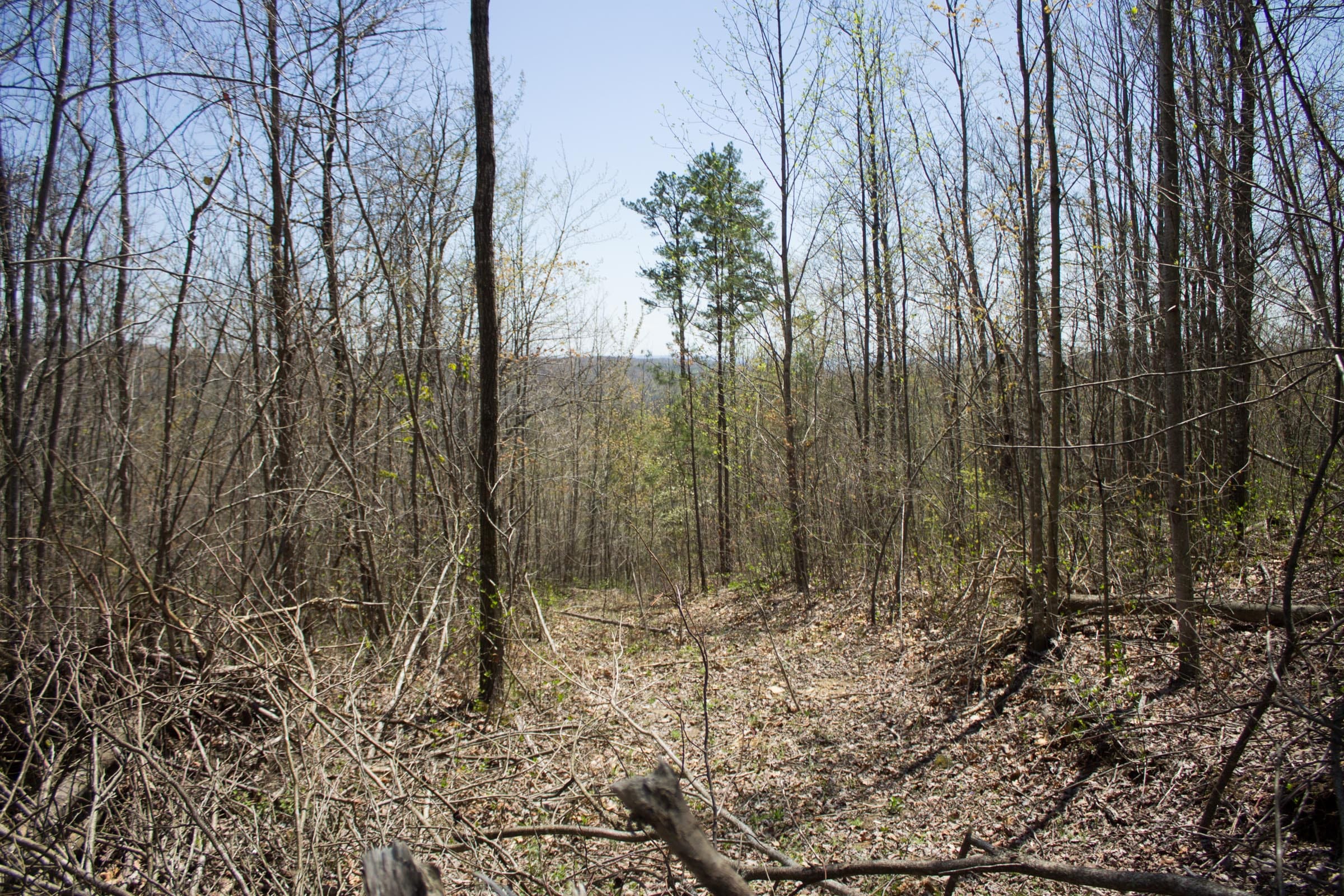 Hidden Hills Tract 6 photo 2