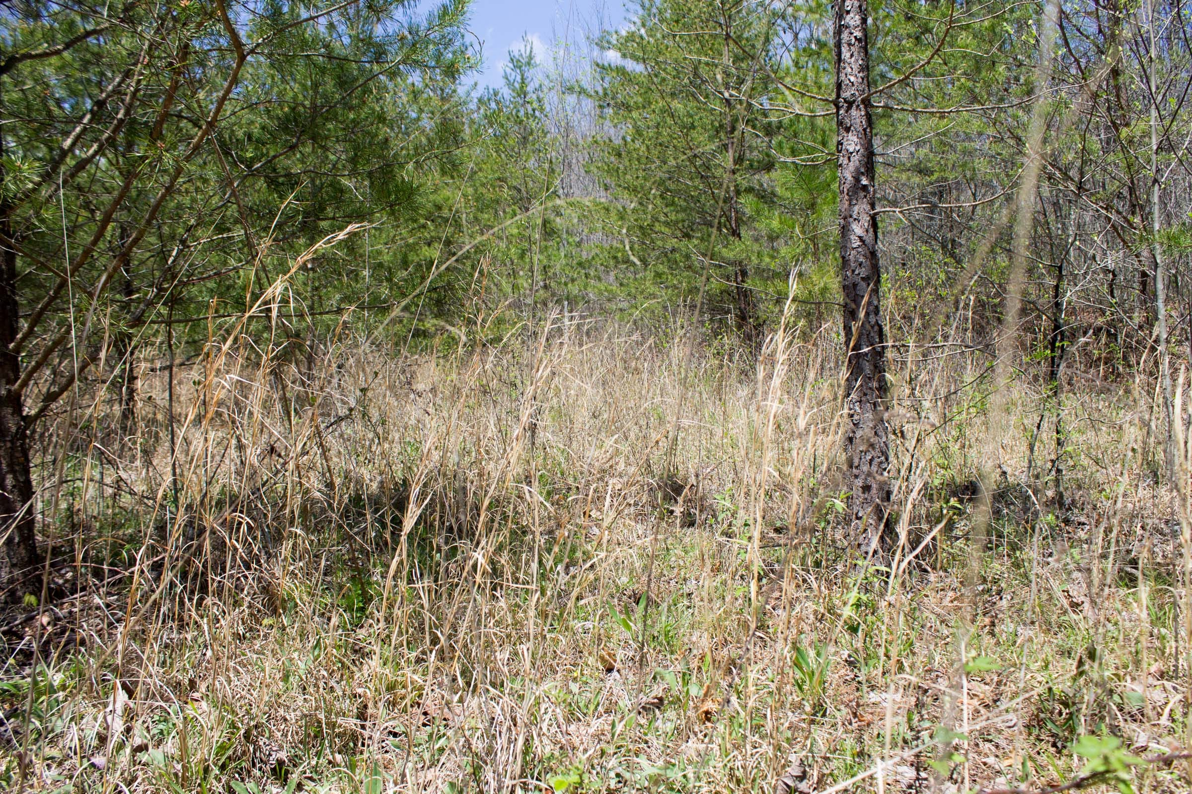 Hidden Hills Tract 6 photo 5