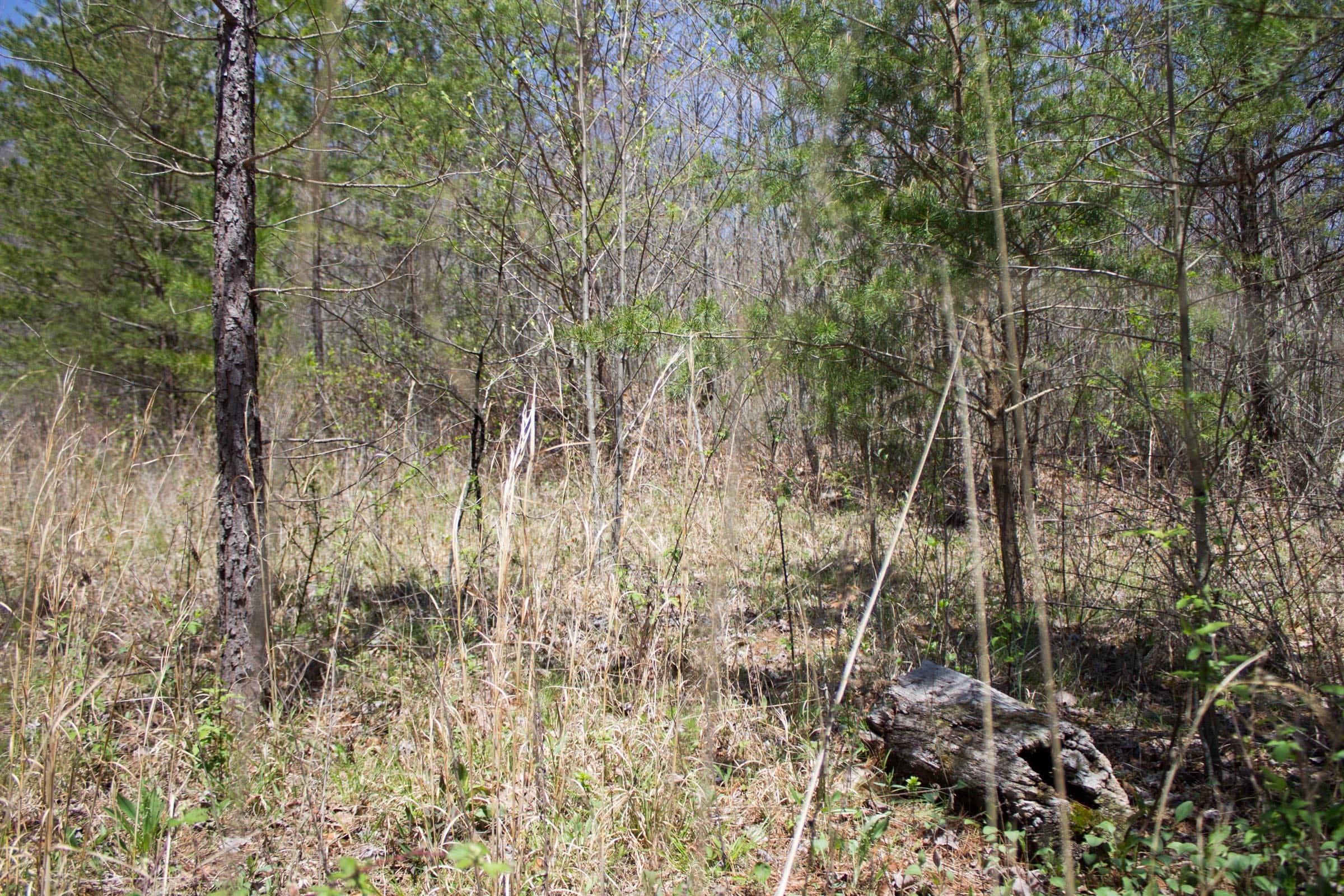 Hidden Hills Tract 6 photo 6