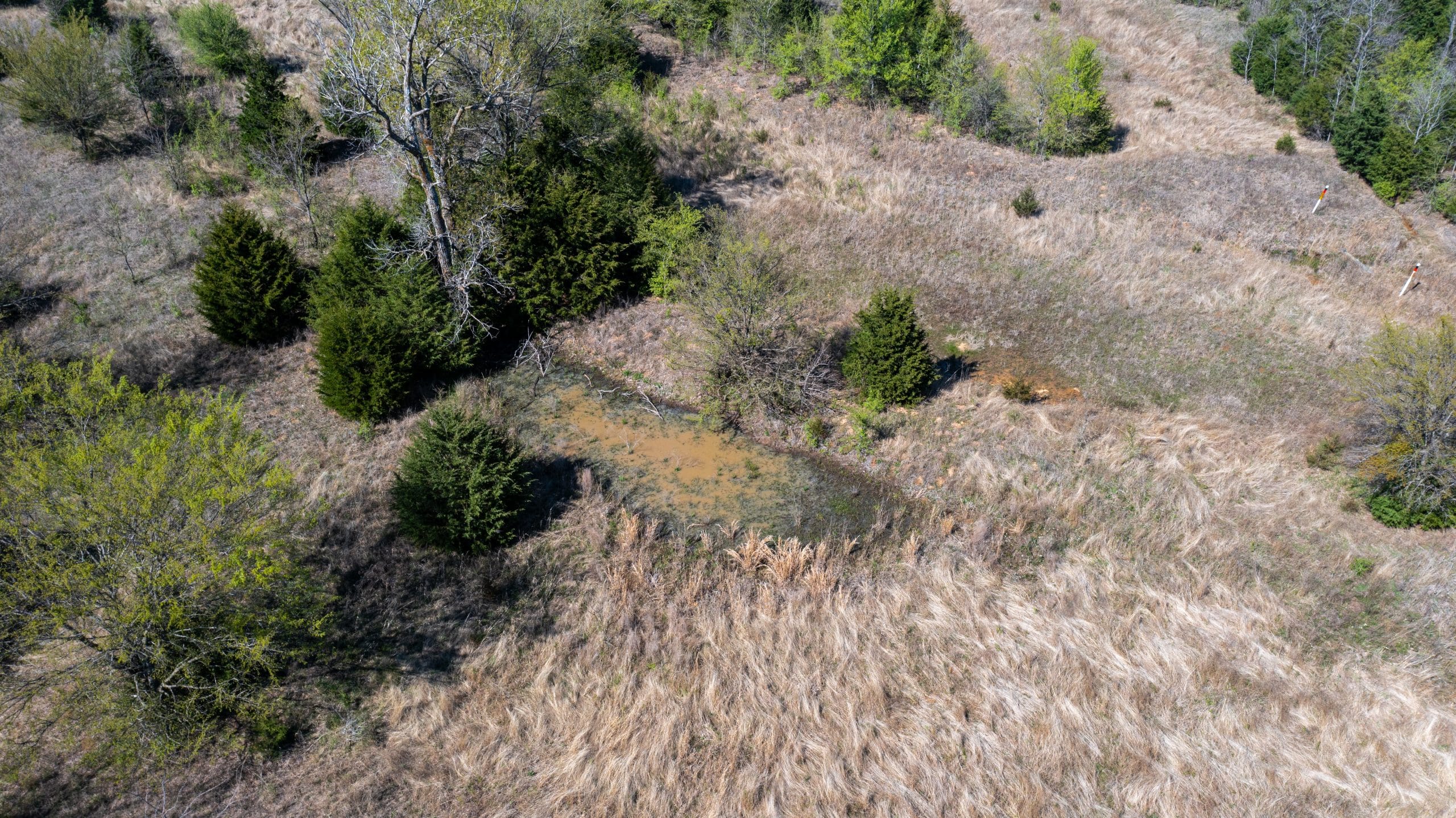 Prairie Grove photo 18