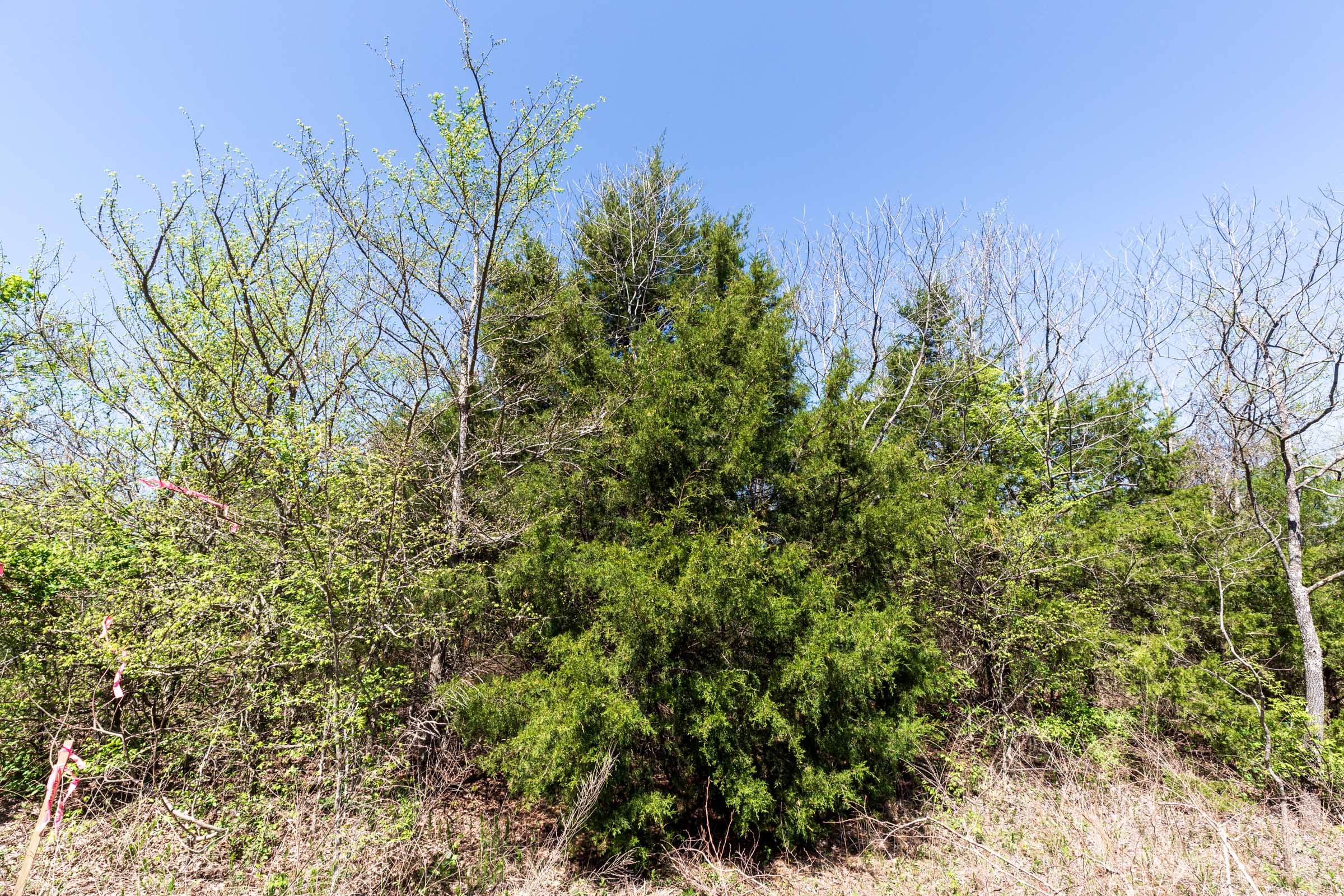 Prairie Grove Tract 15 photo 7