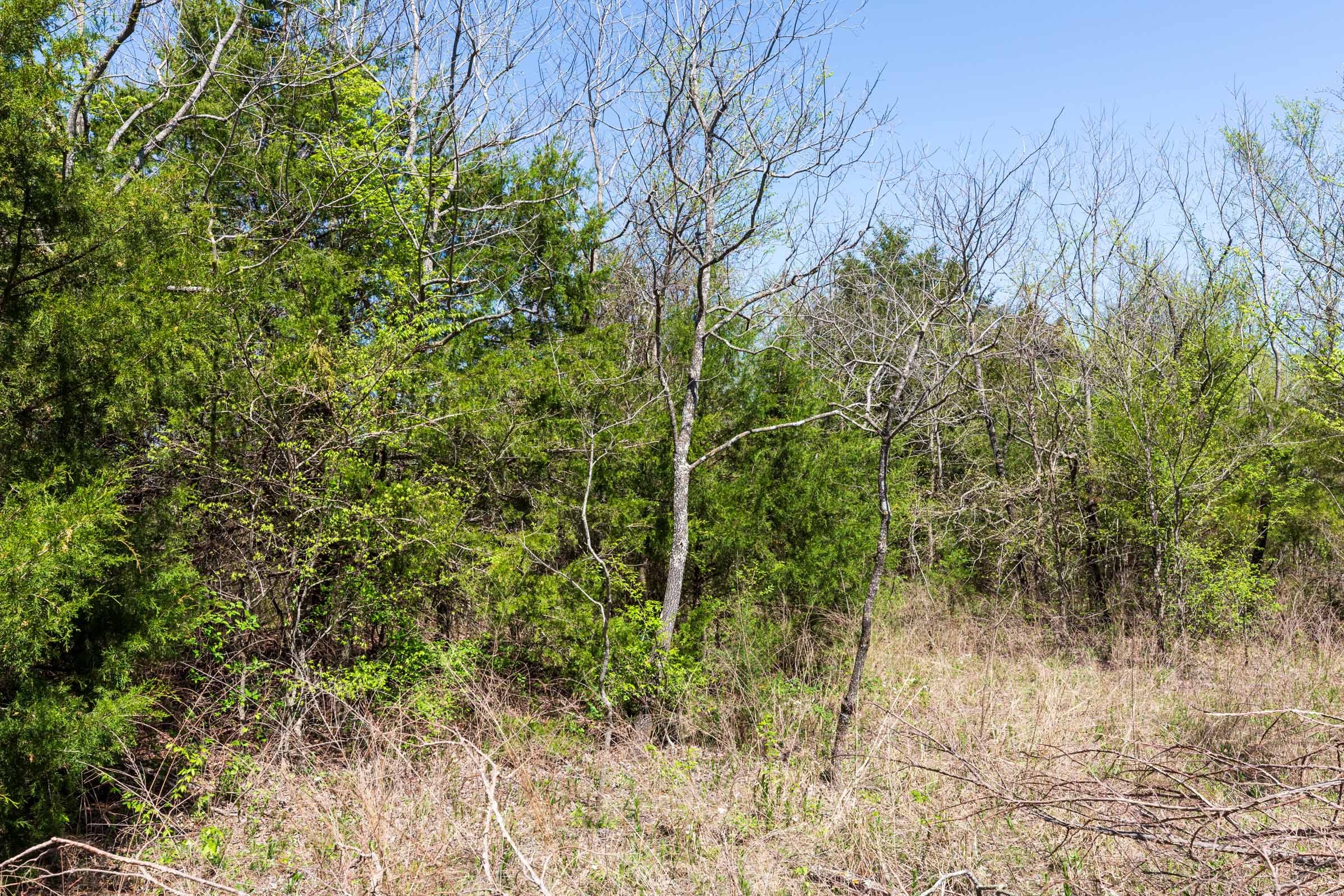 Prairie Grove Tract 15 photo 6