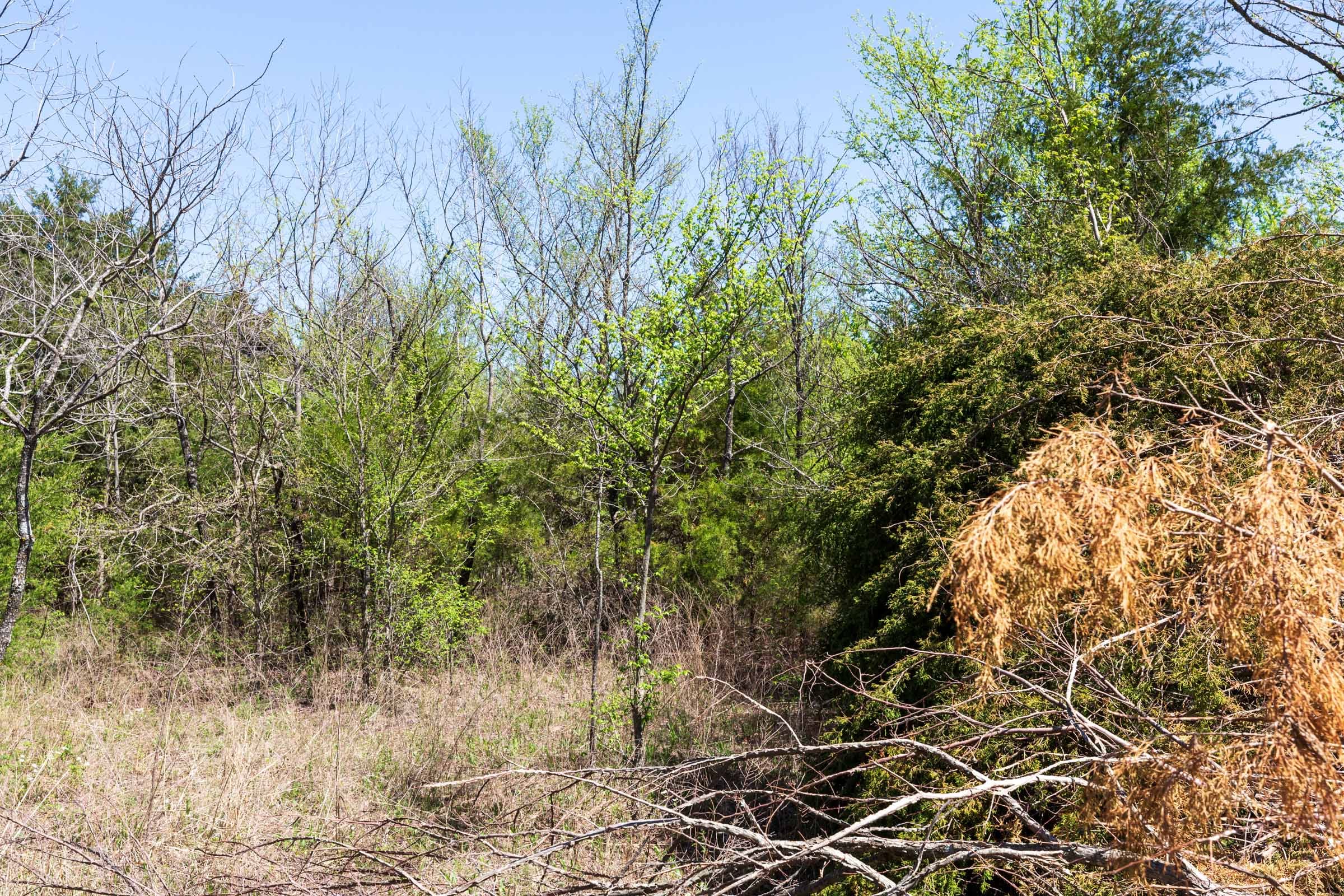 Prairie Grove Tract 15 photo 14